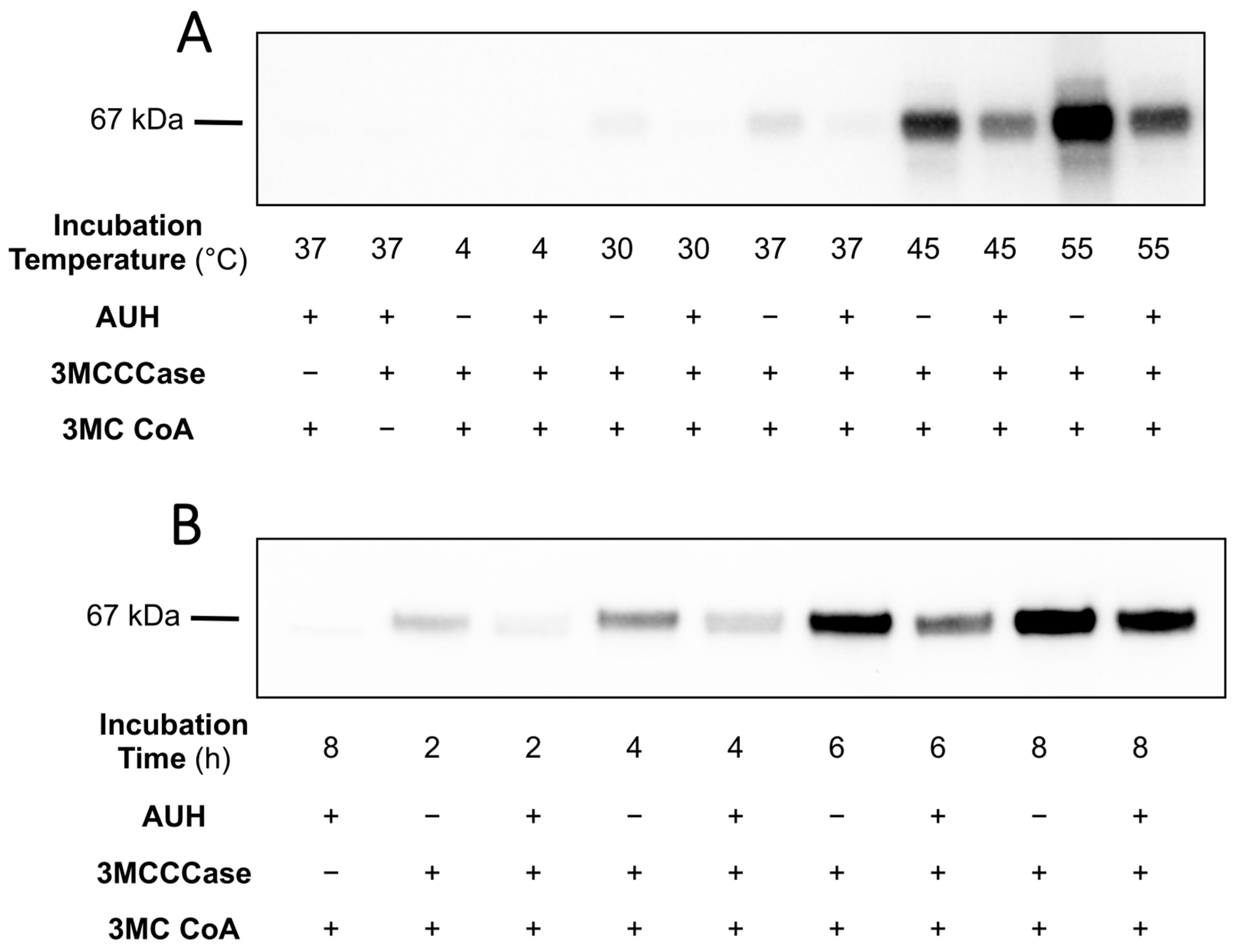 Metabolites 14 00421 g006