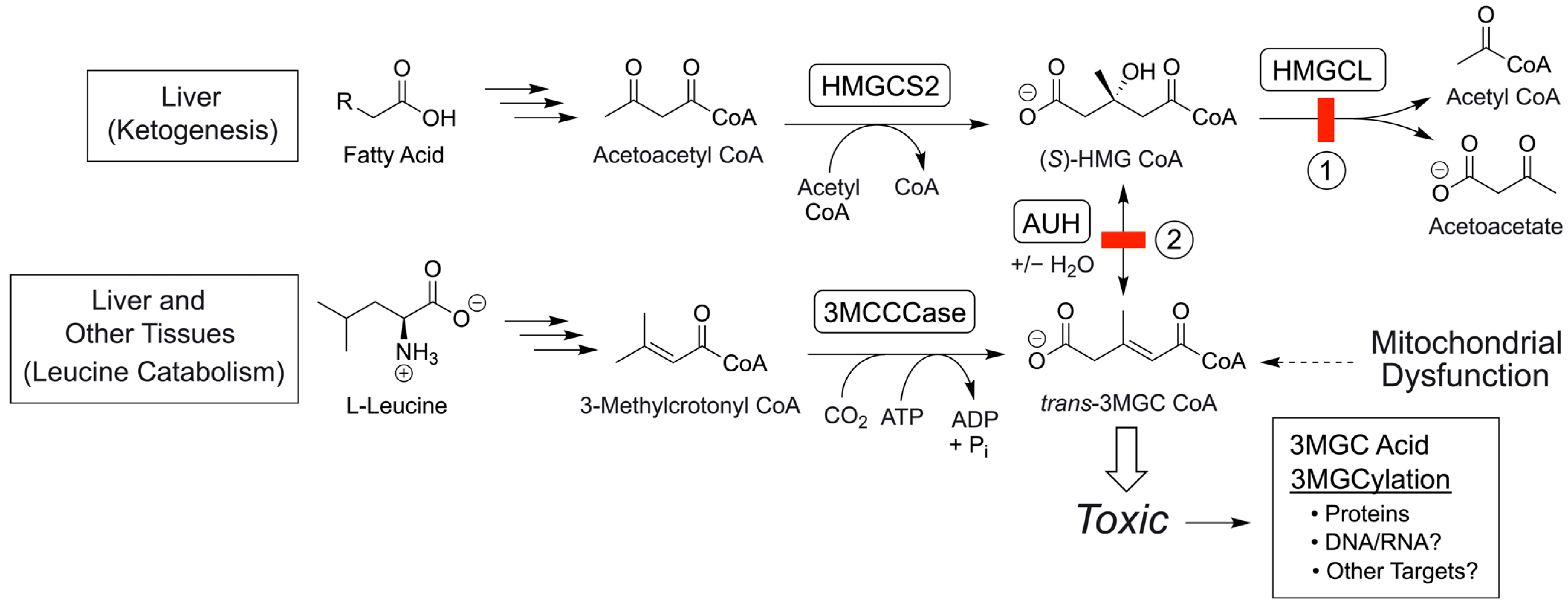Metabolites 14 00421 g008