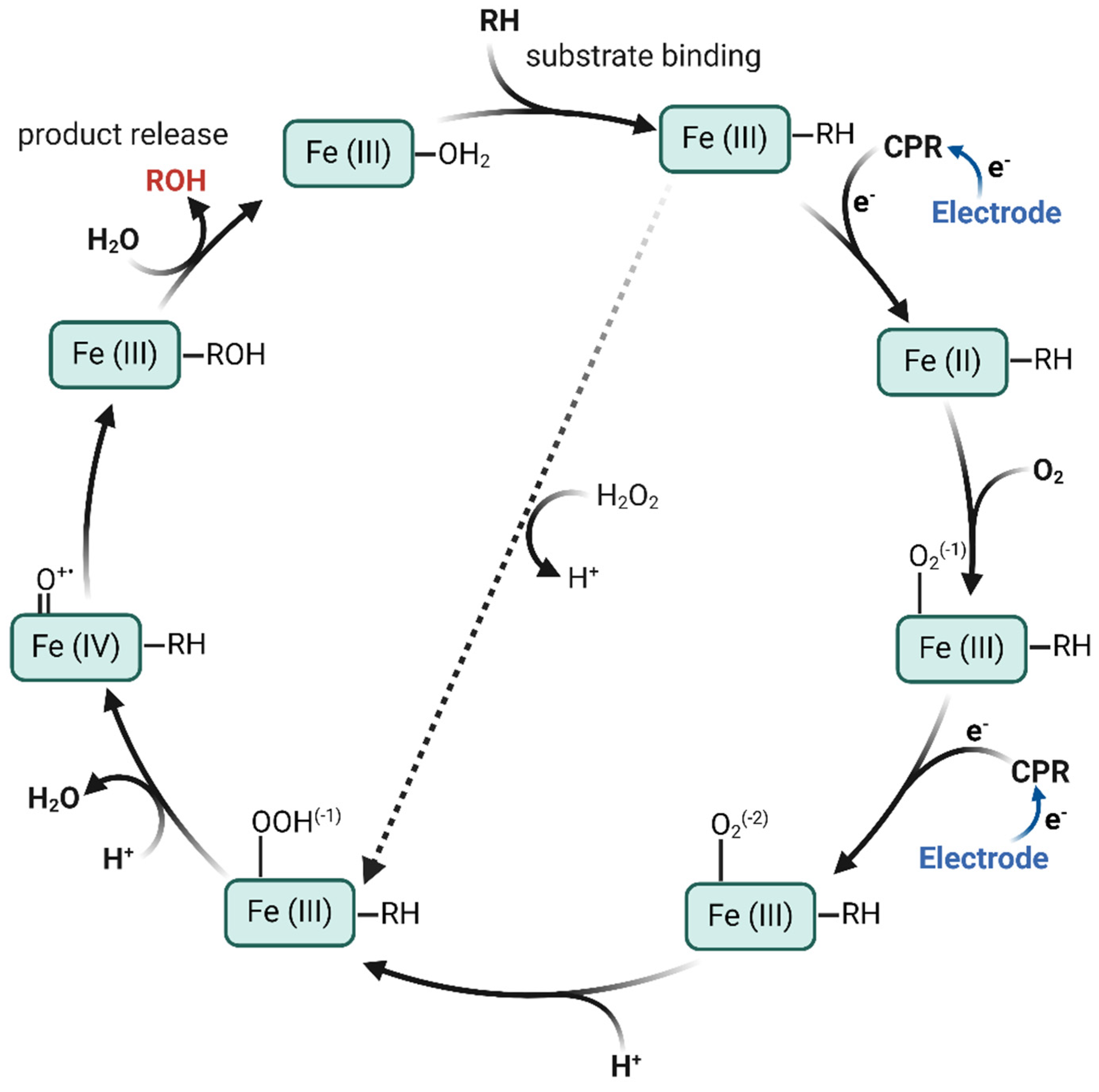Metabolites 14 00429 sch002