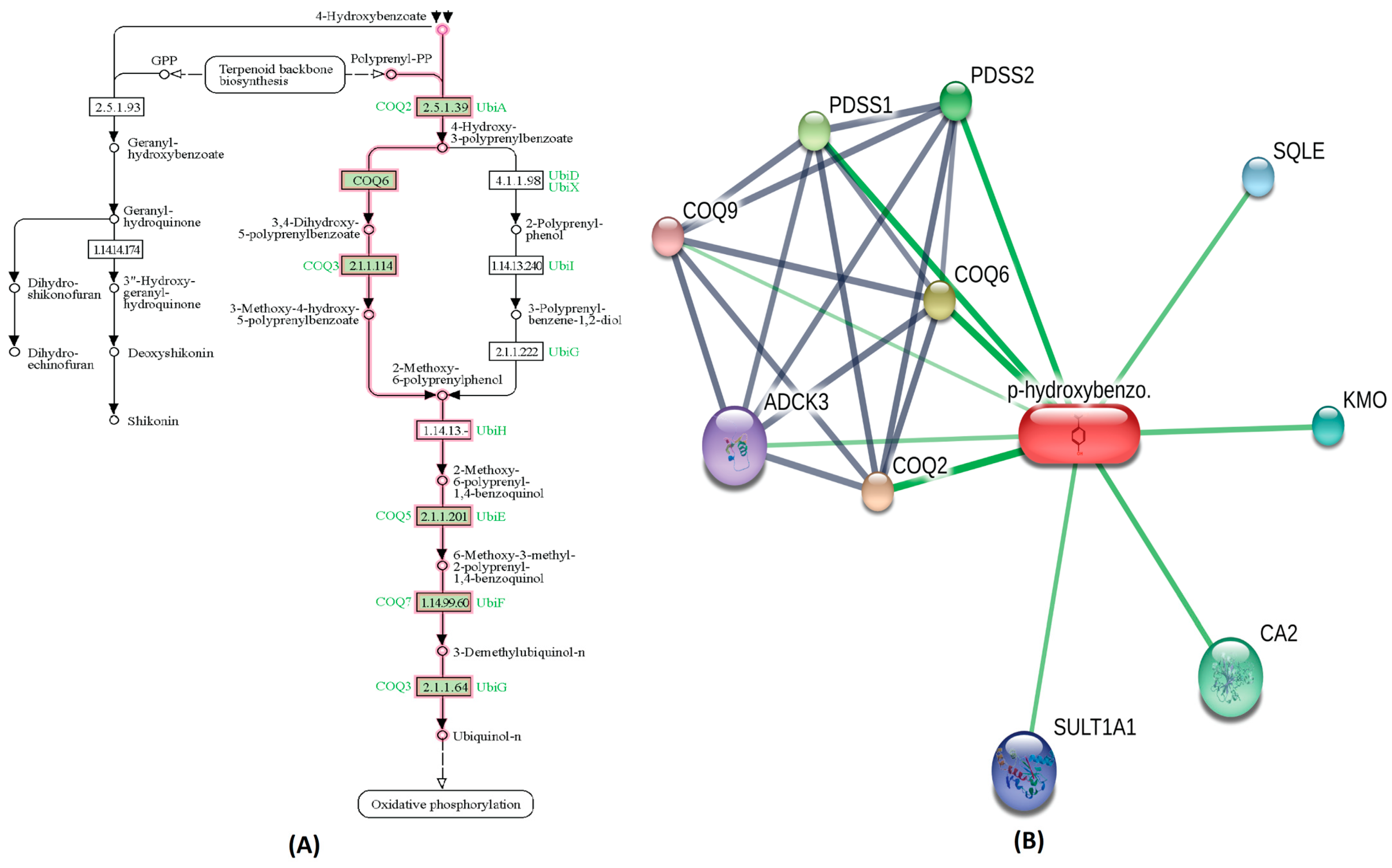 Metabolites 14 00430 g003