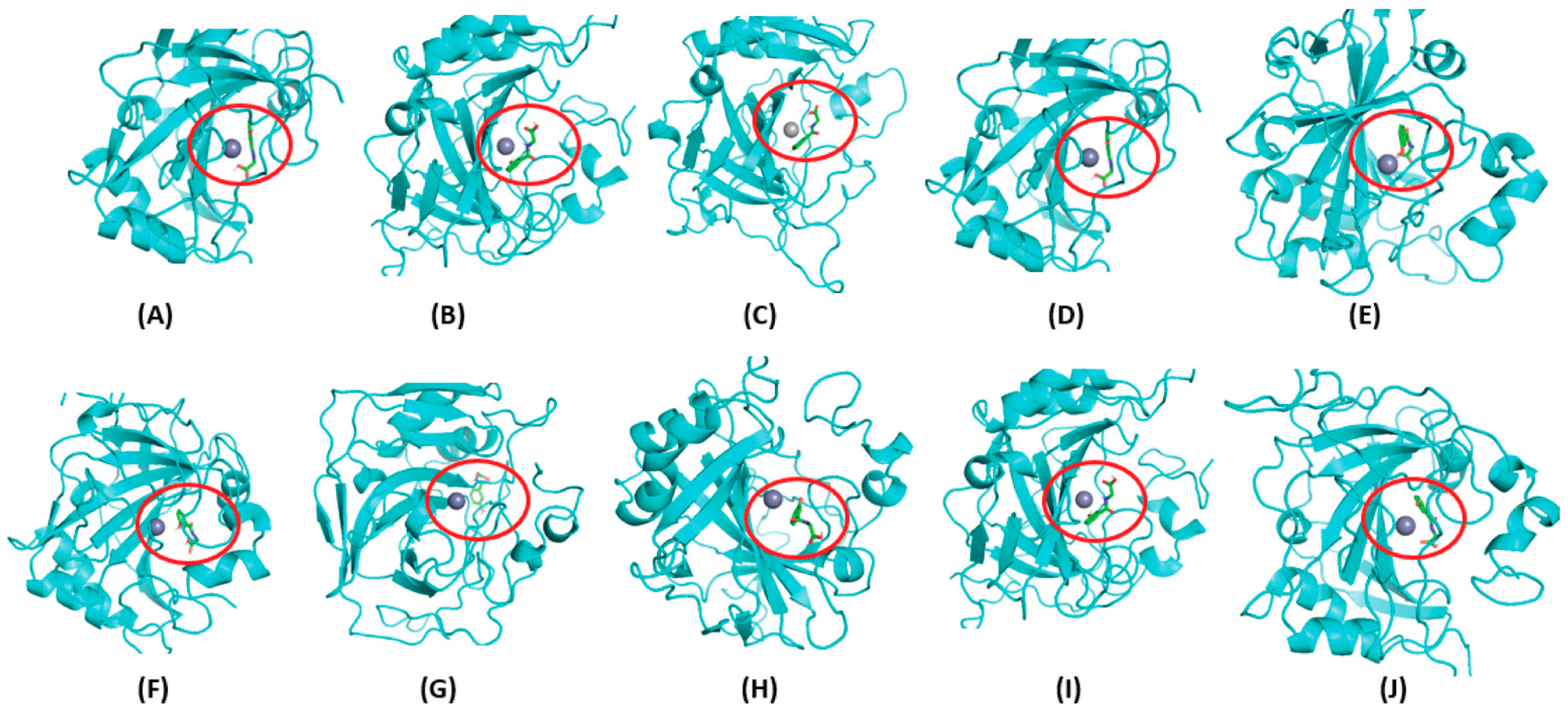 Metabolites 14 00430 g006