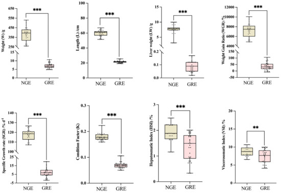 Characterizing Growth-Retarded Japanese Eels (Anguilla japonica