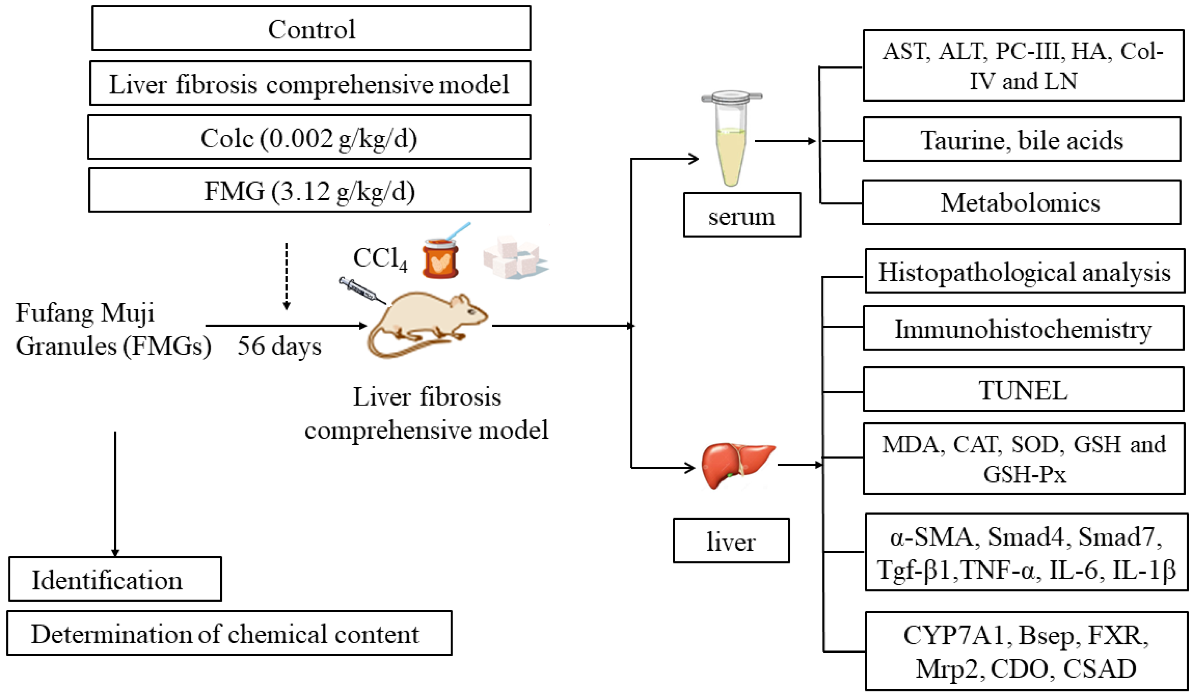 Metabolites 14 00446 g001