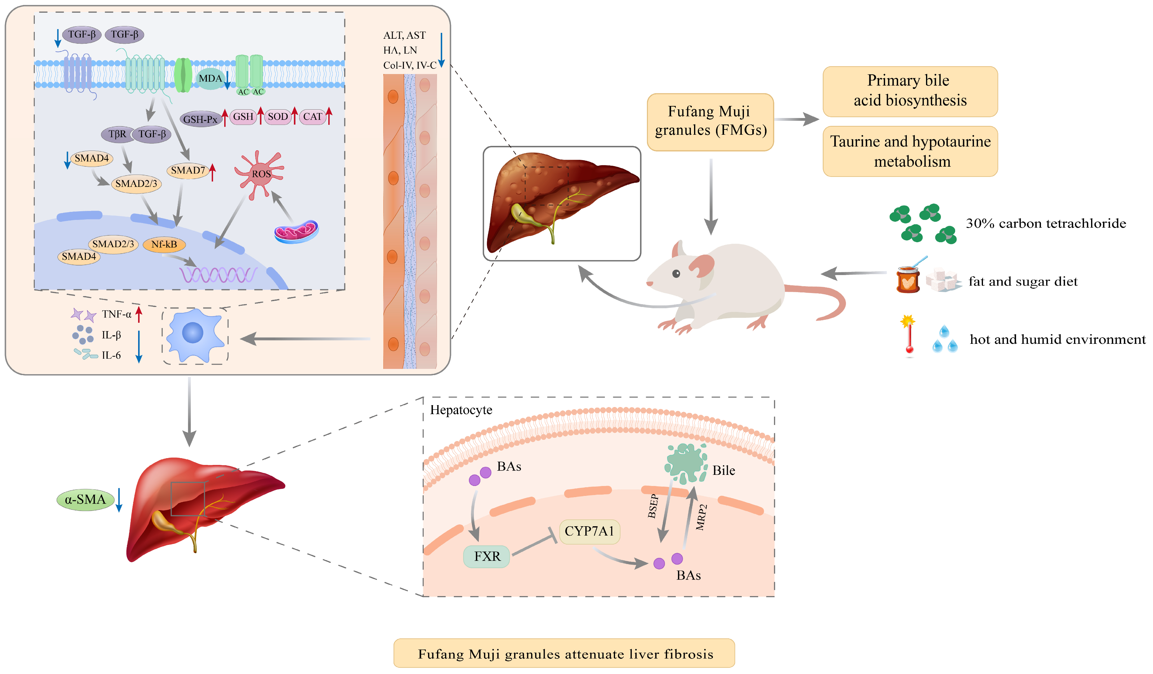 Metabolites 14 00446 g008