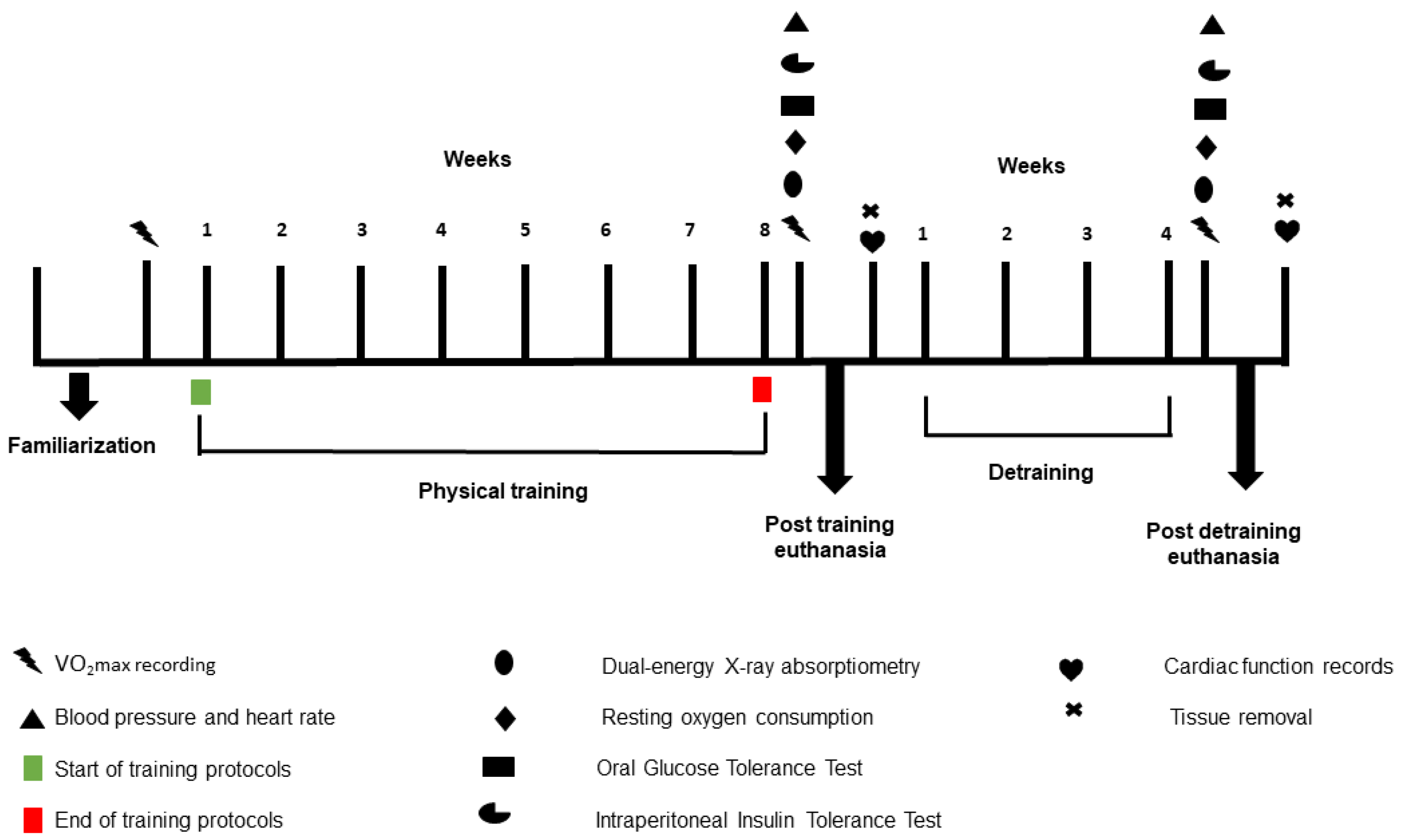 Metabolites 14 00447 g001