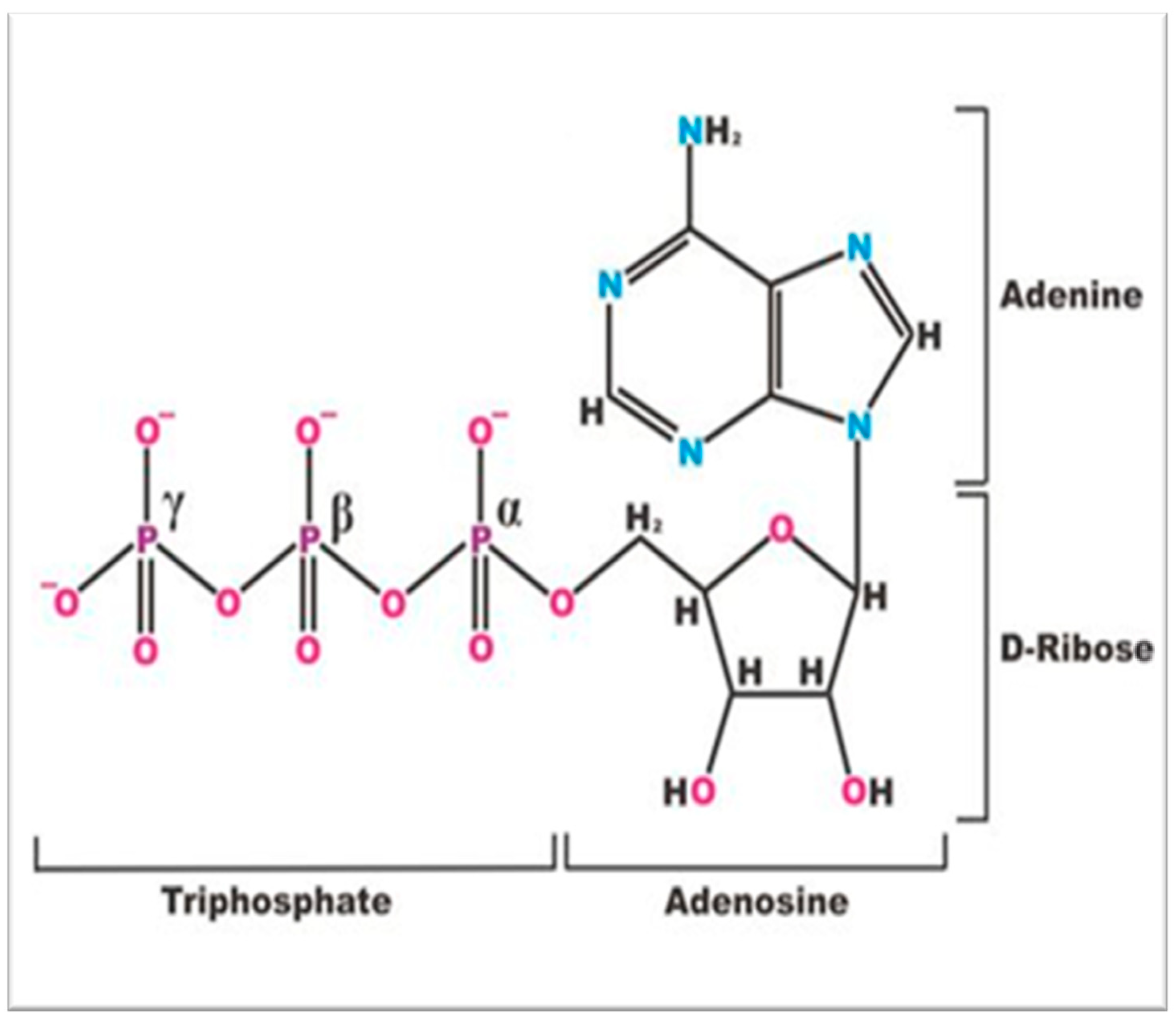 Metabolites 14 00456 g001