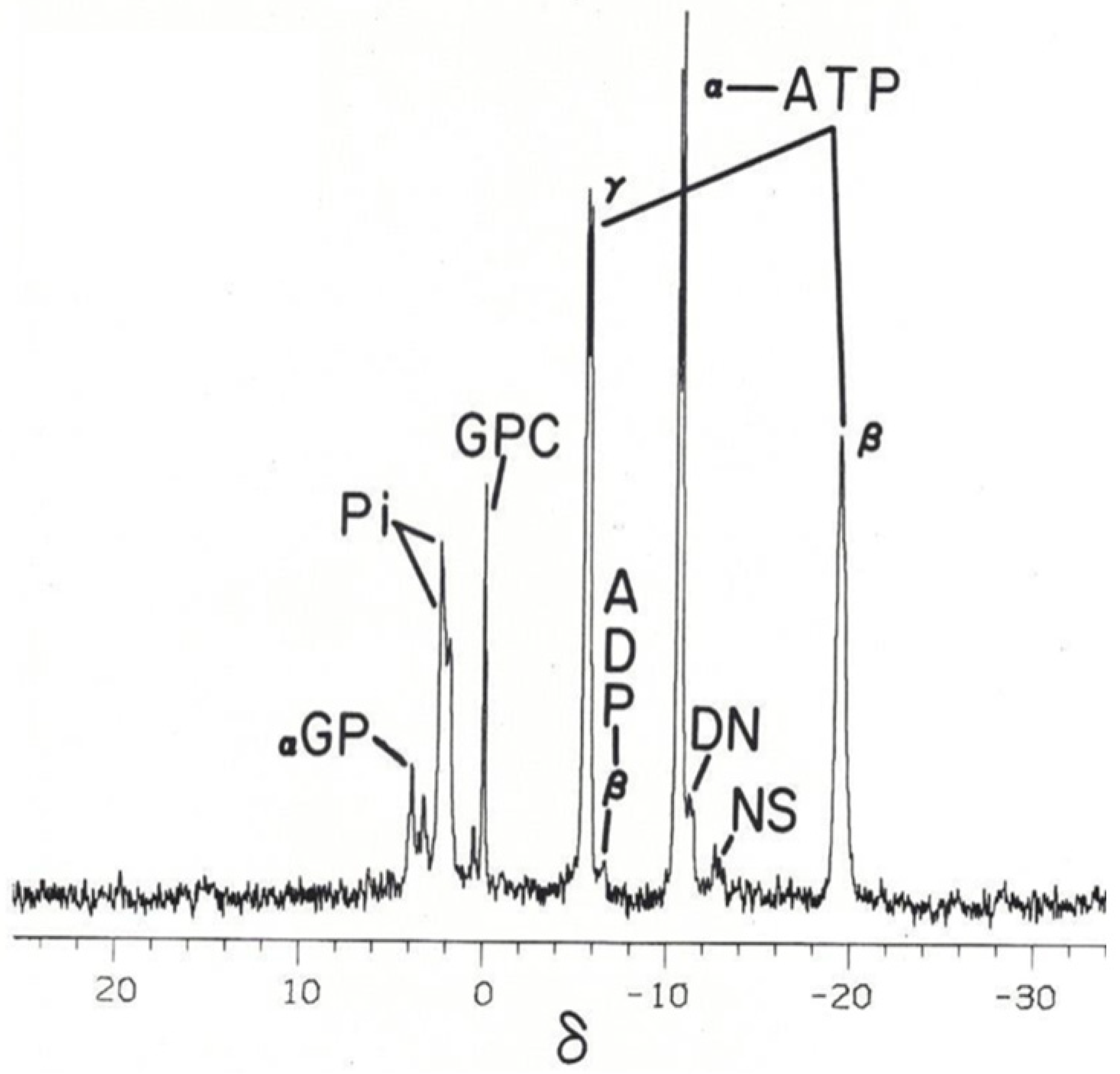 Metabolites 14 00456 g002