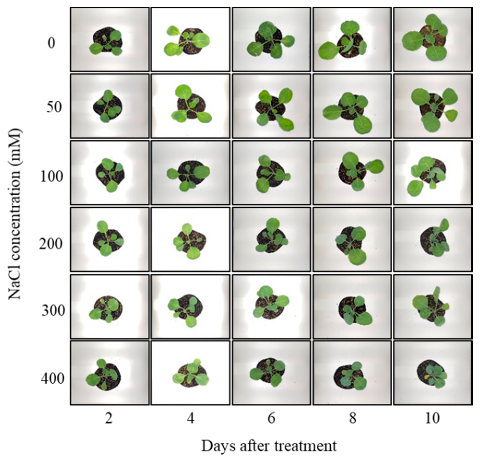 Metabolites 14 00470 g001