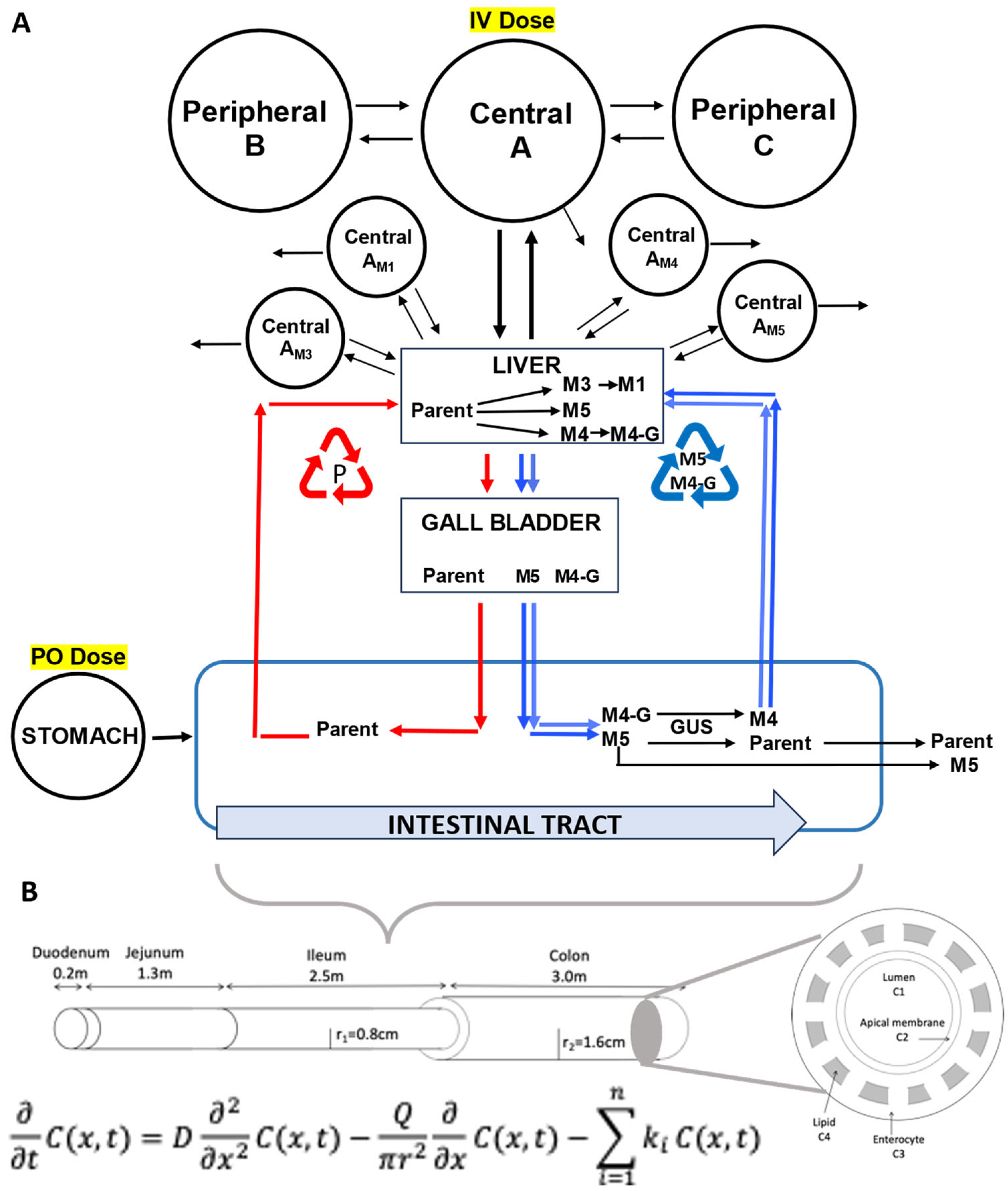 Metabolites 14 00471 g002 Metabolites 14 00471 g002