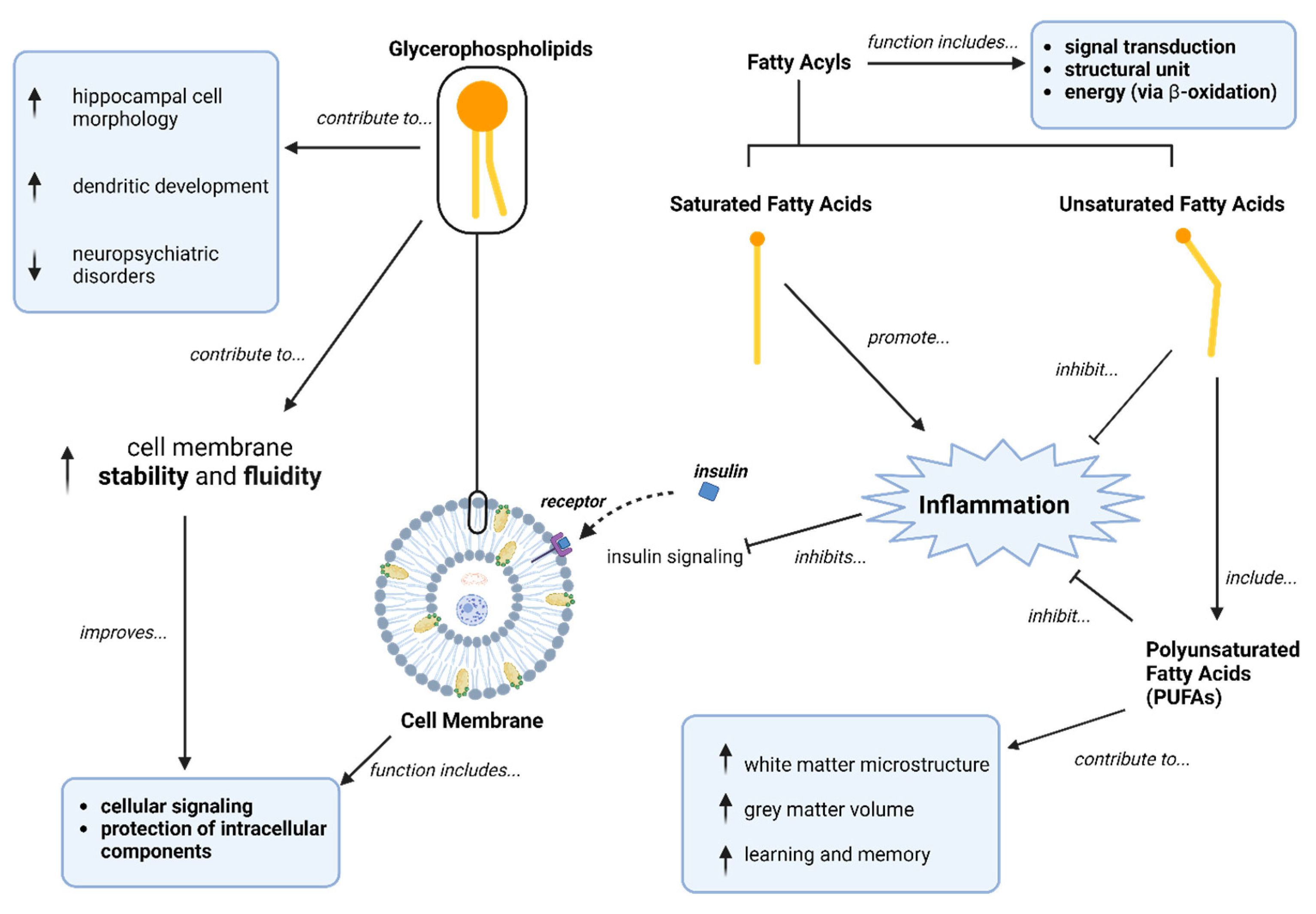 Metabolites 14 00475 g002