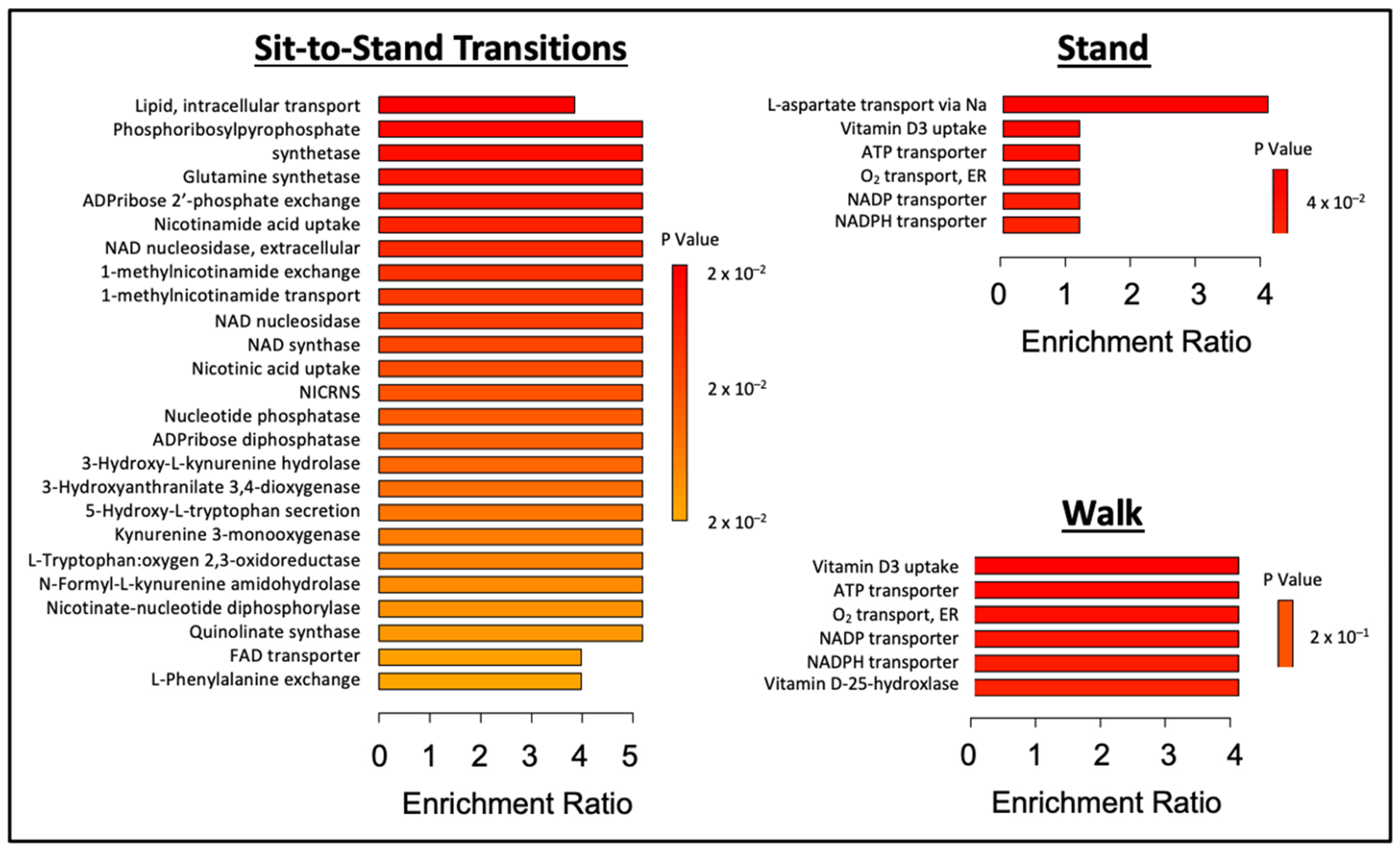 Metabolites 14 00478 g005