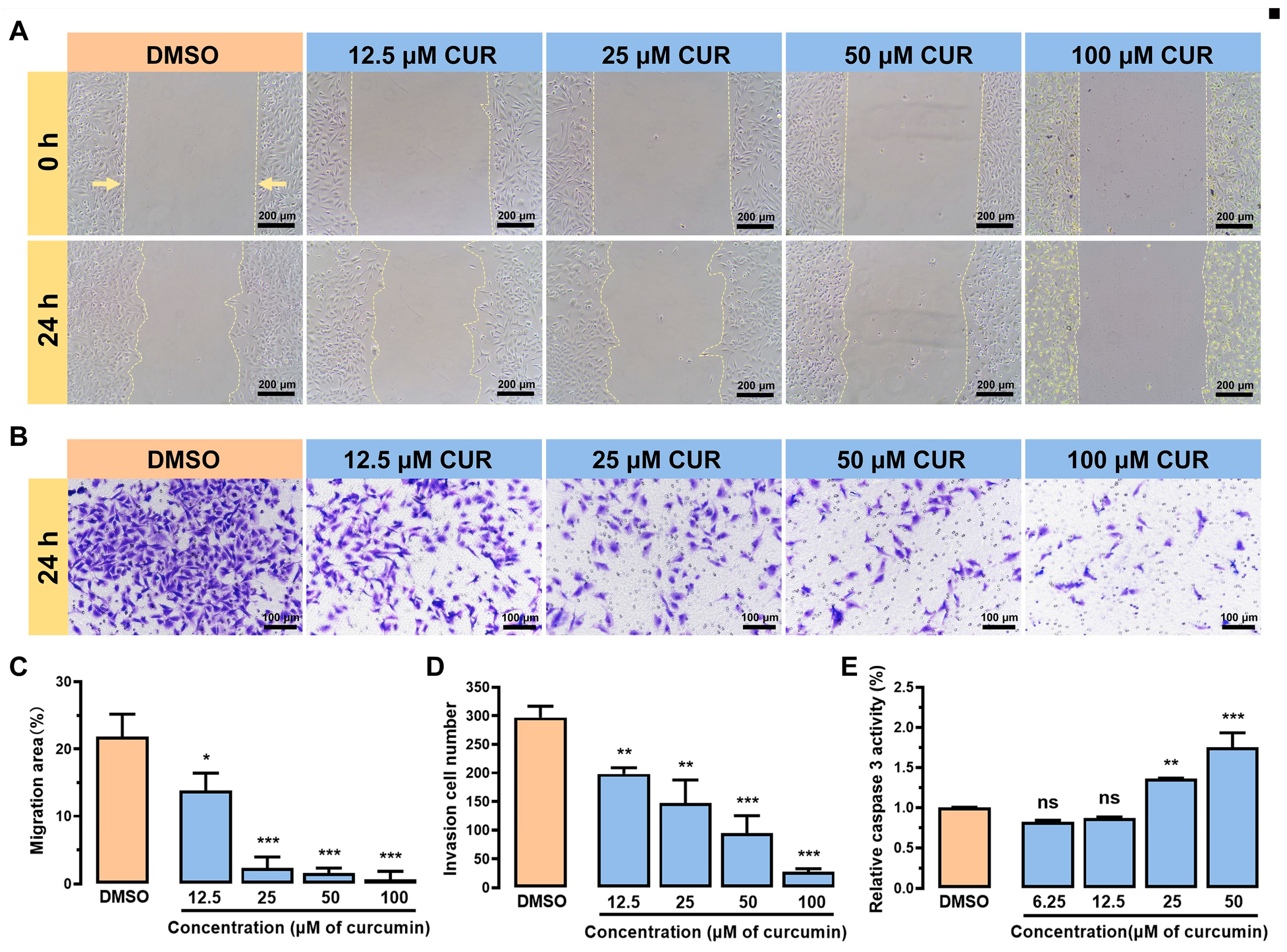 Metabolites 14 00482 g002