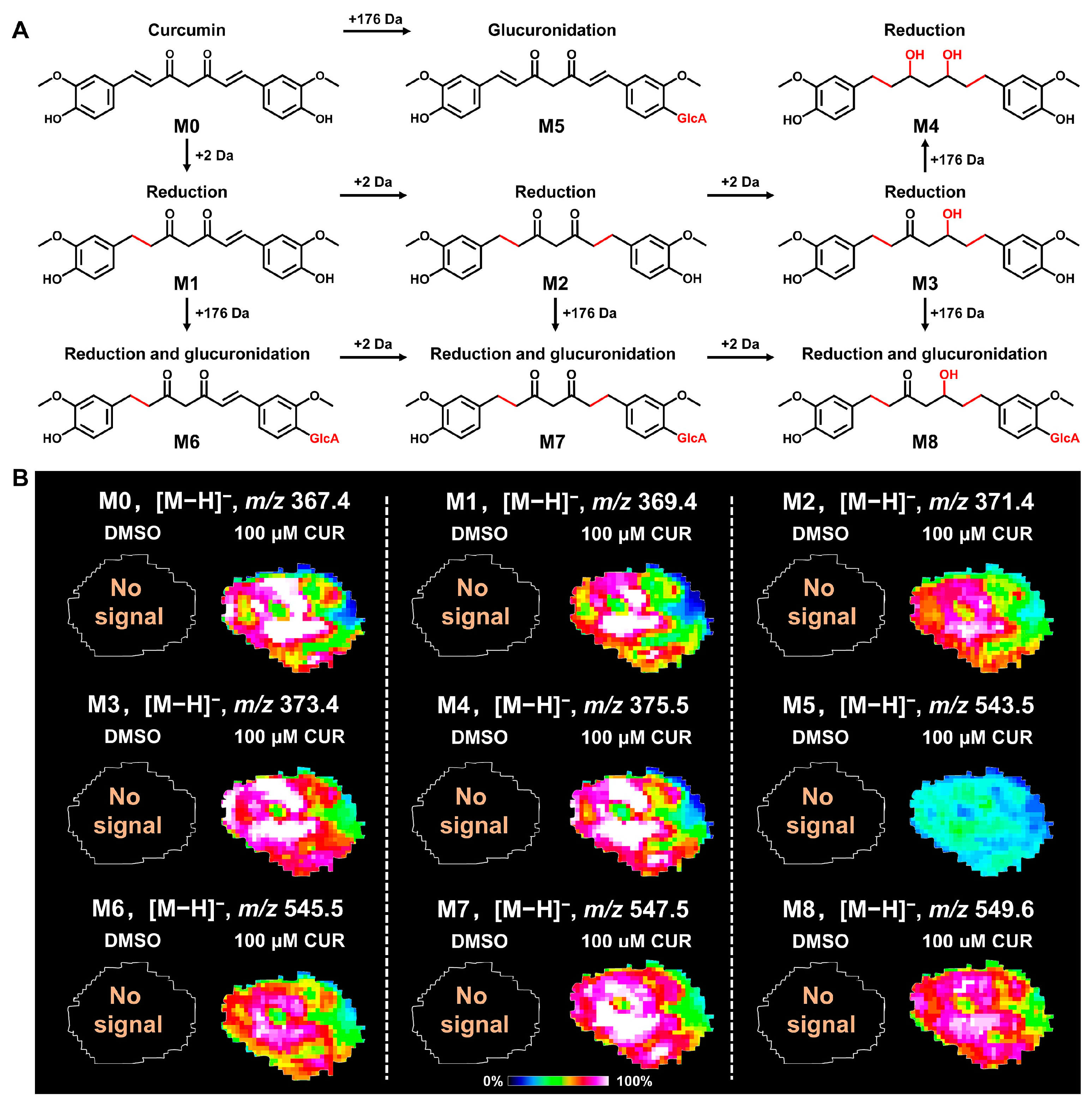 Metabolites 14 00482 g003