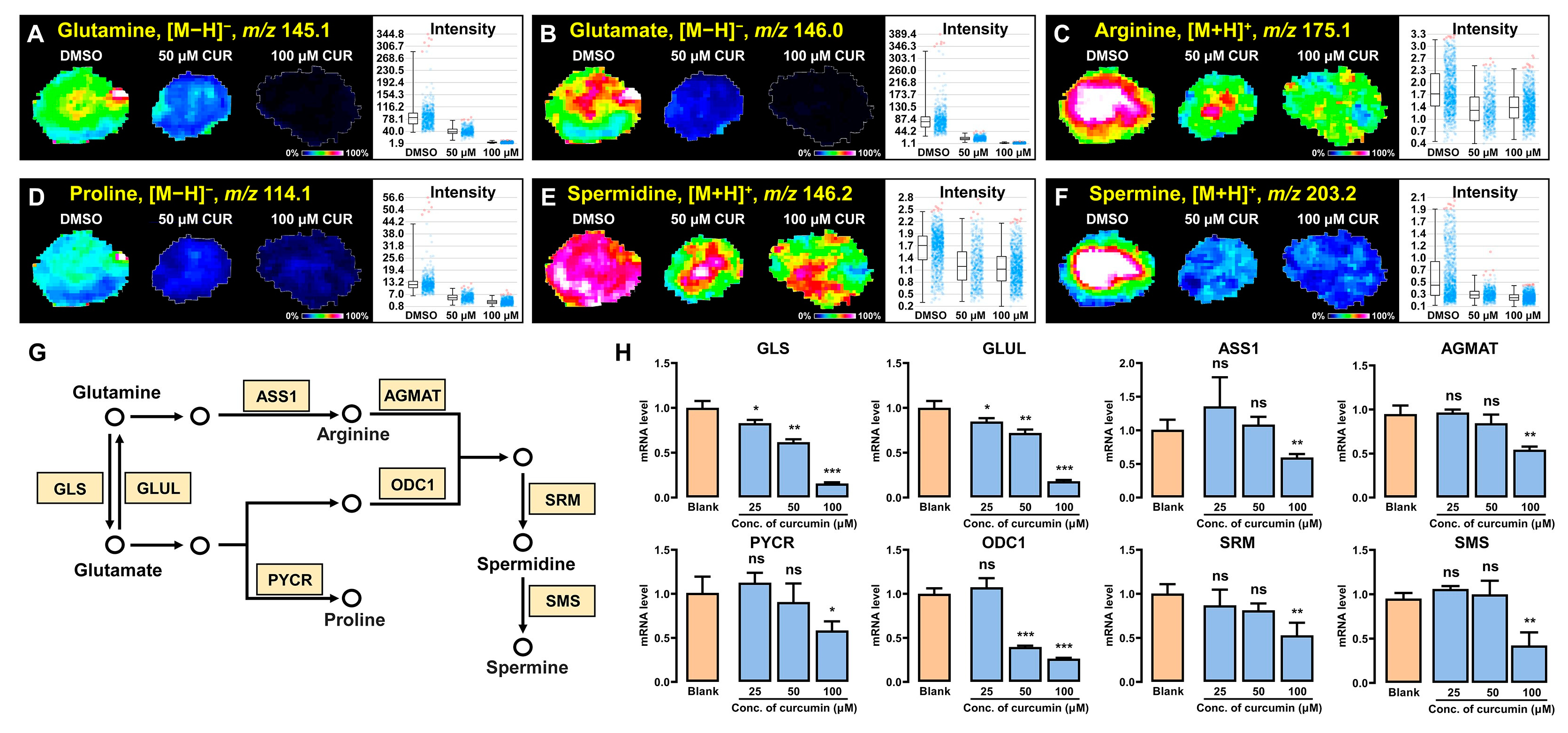 Metabolites 14 00482 g006
