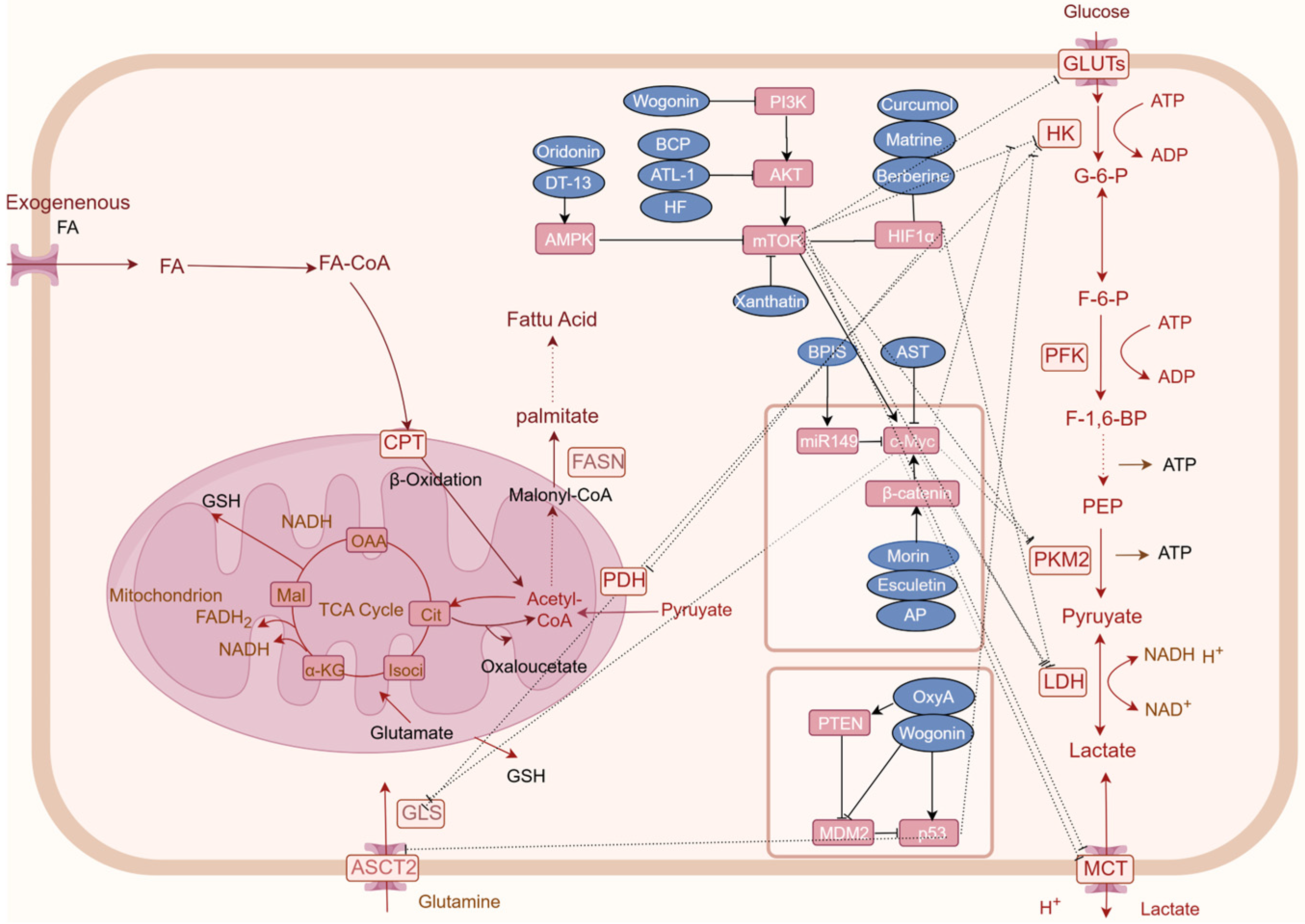 Metabolites 14 00490 g002 Metabolites 14 00490 g002