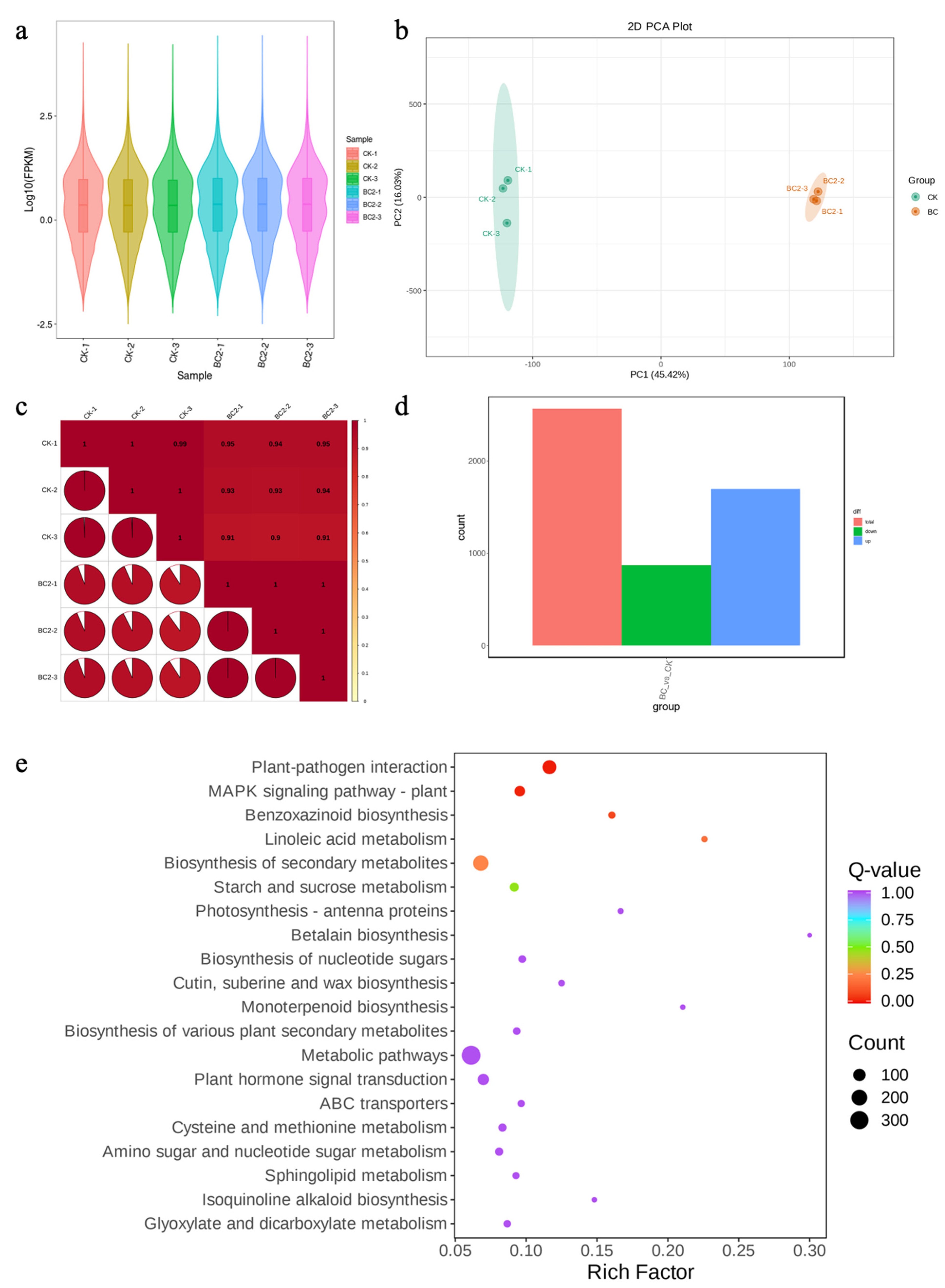 Metabolites 14 00498 g004