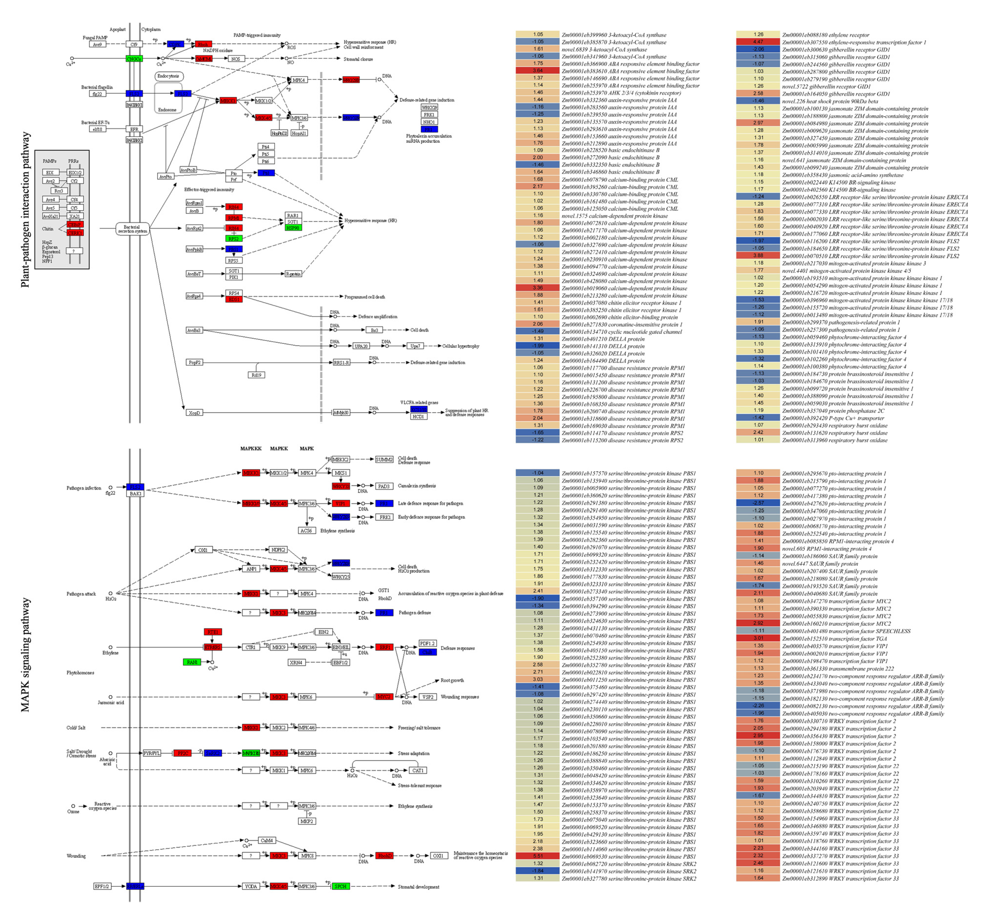 Metabolites 14 00498 g005