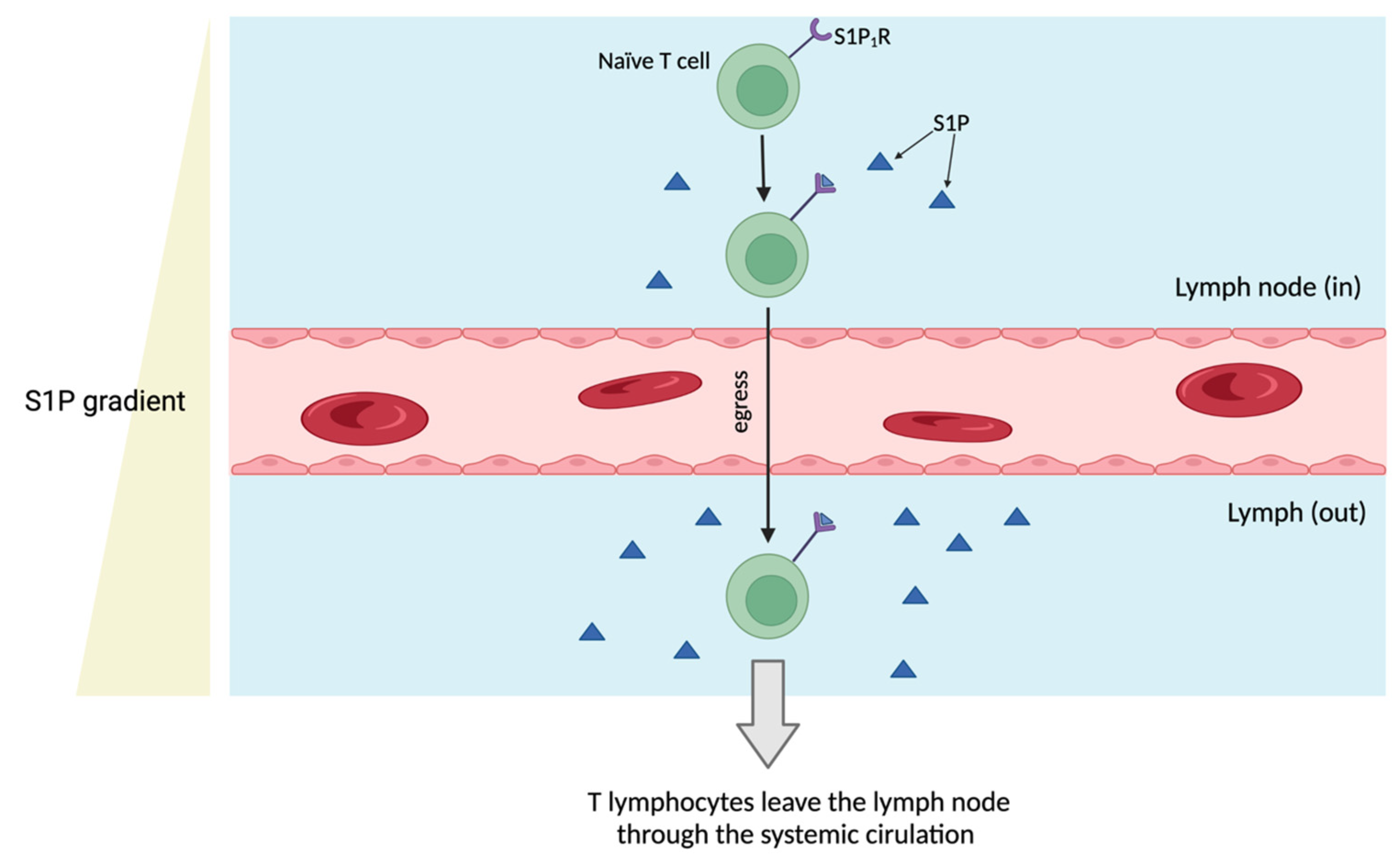 Metabolites 14 00499 g007 Metabolites 14 00499 g007
