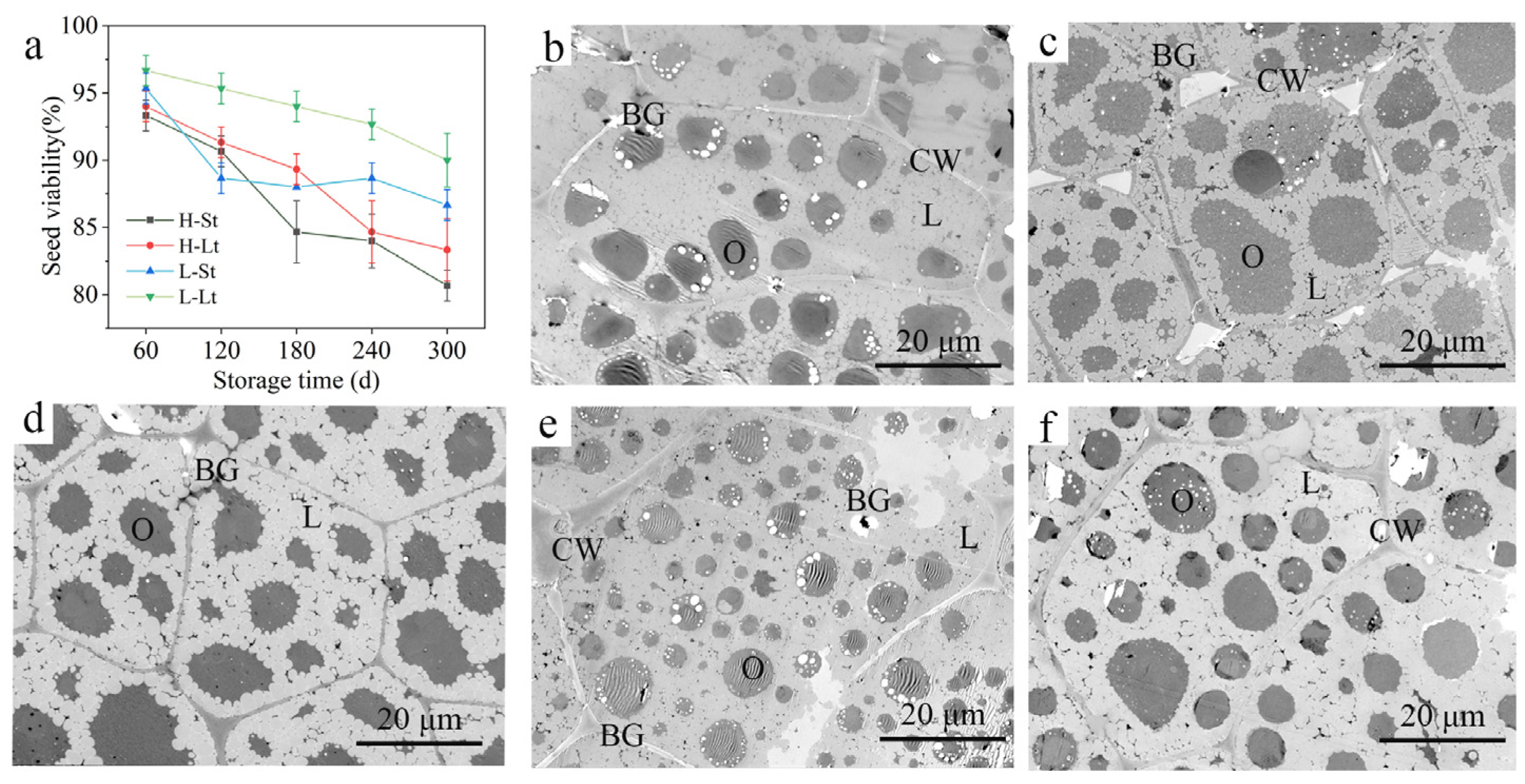 Metabolites 14 00503 g001