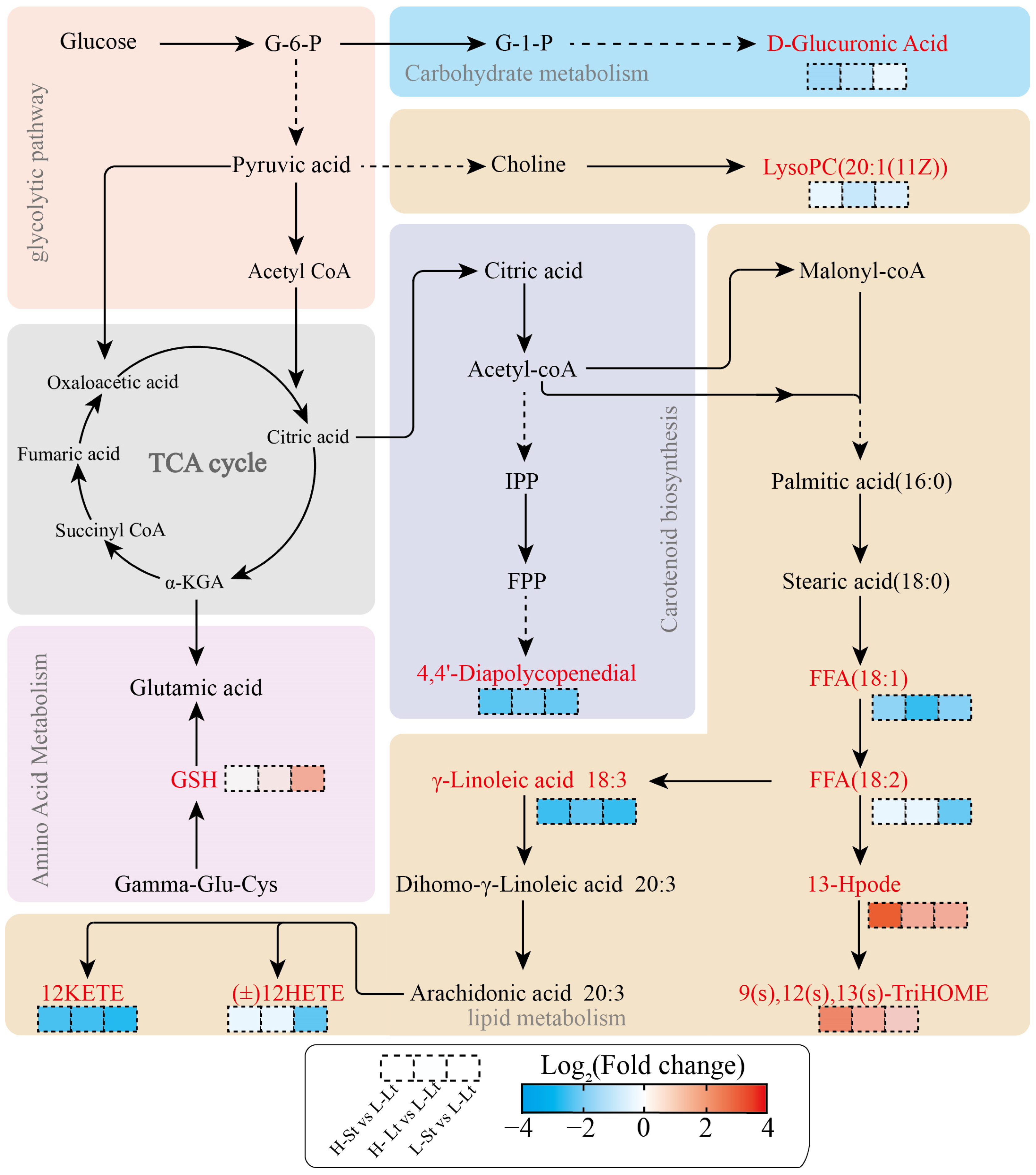 Metabolites 14 00503 g007