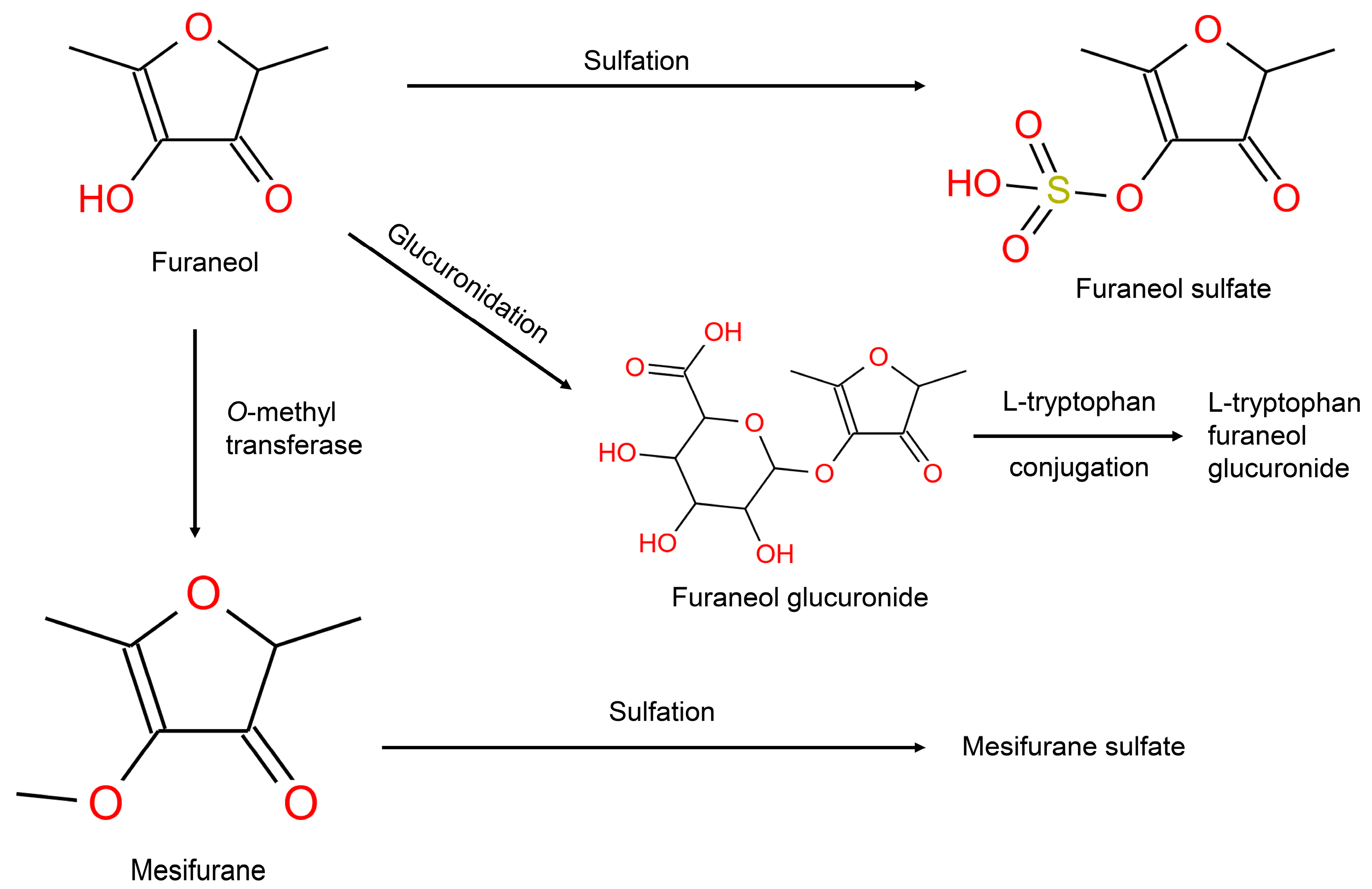 Metabolites 14 00505 g004