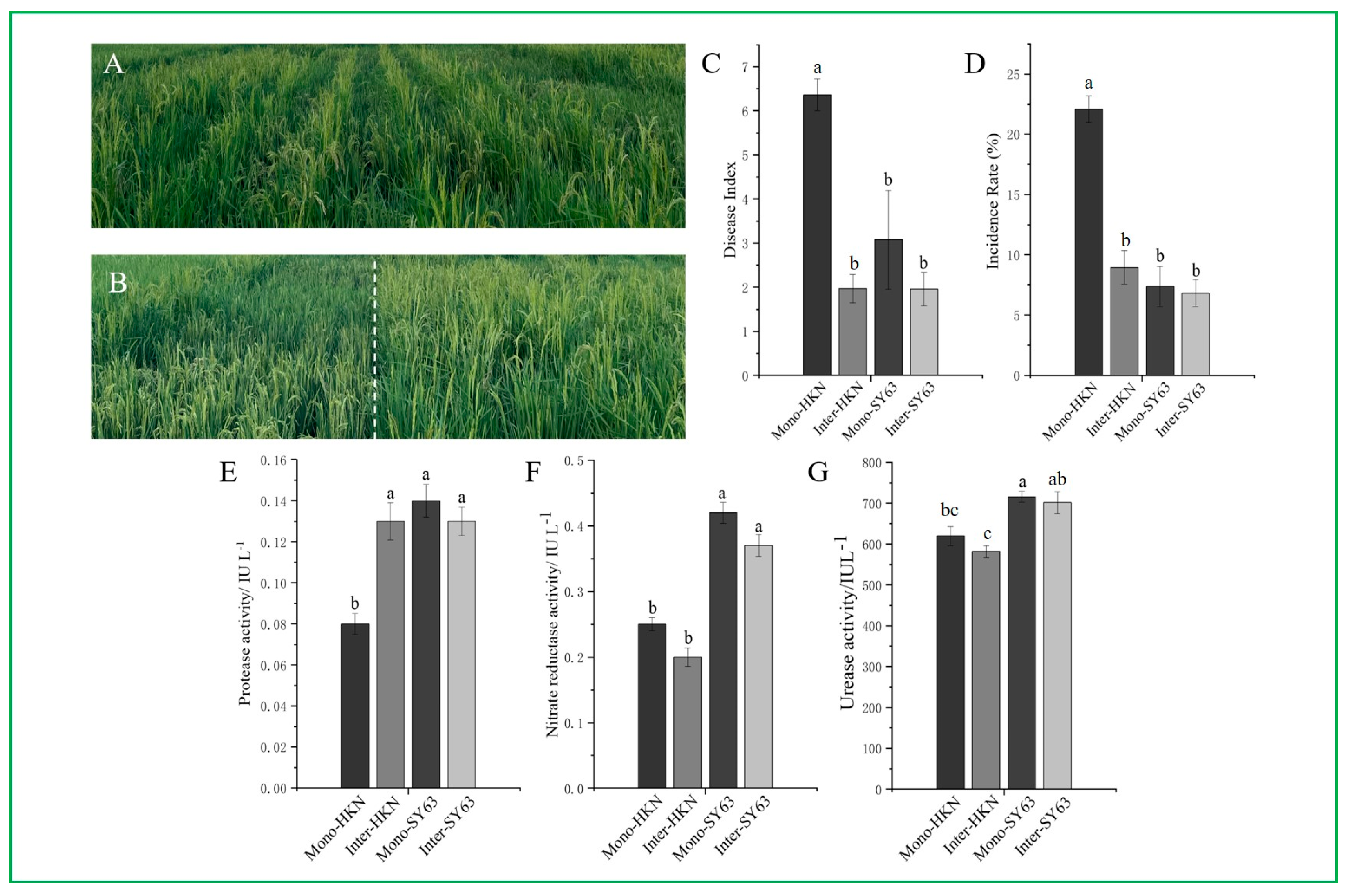 Metabolites 14 00507 g001