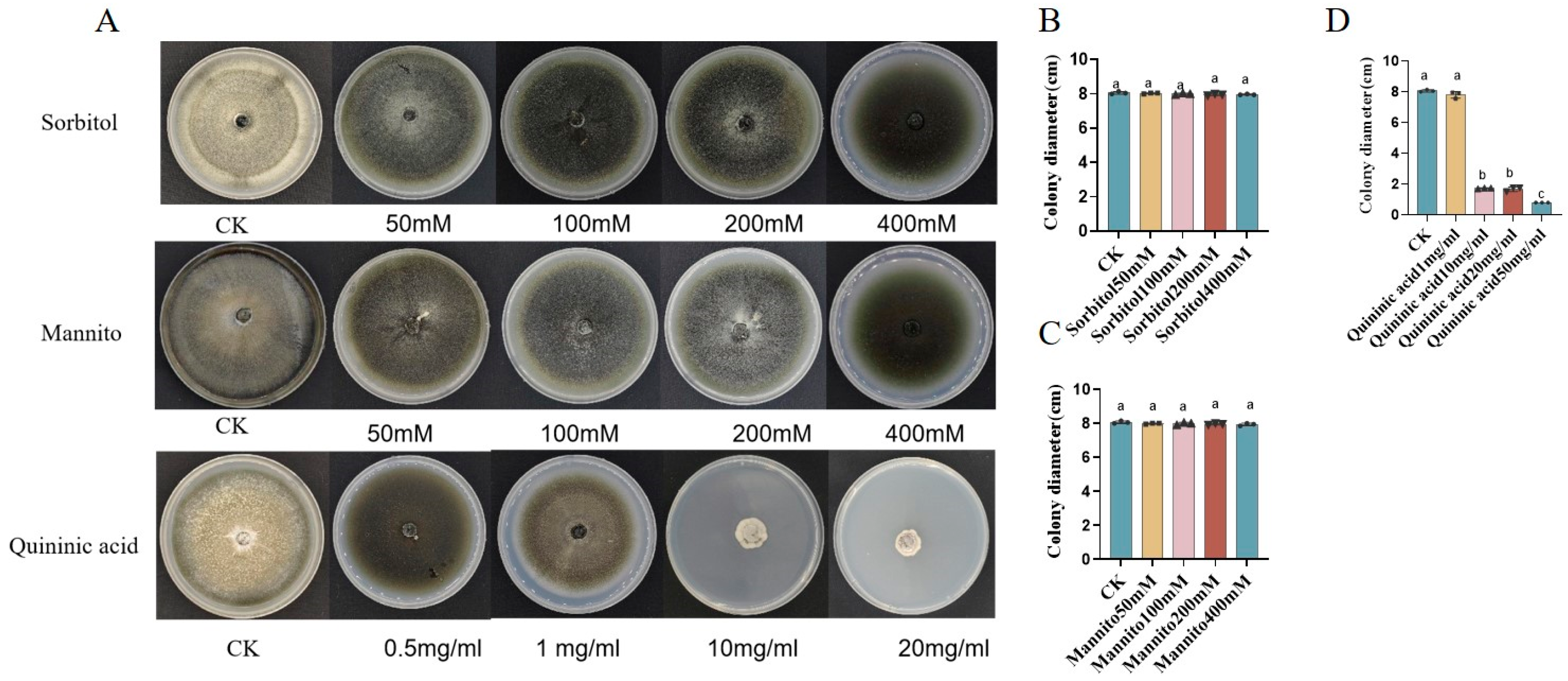 Metabolites 14 00507 g006