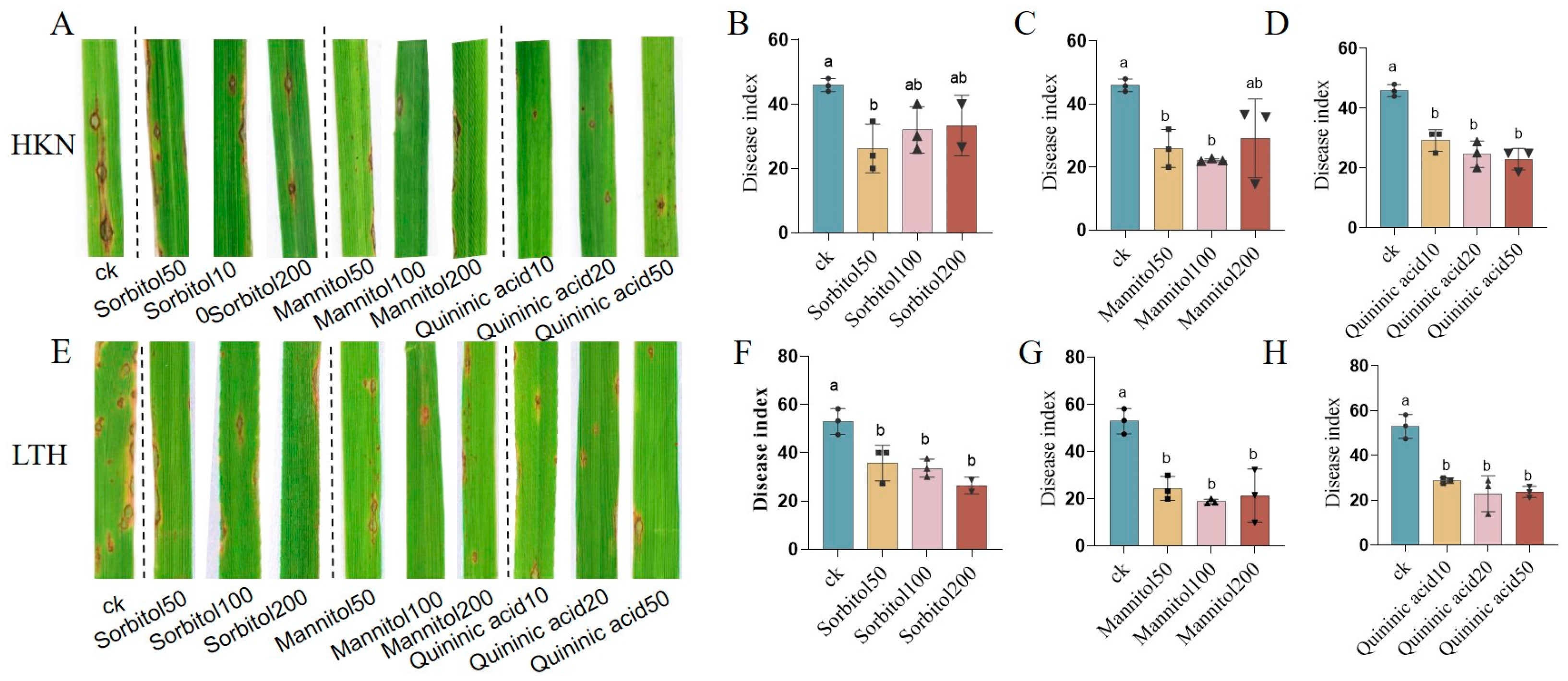 Metabolites 14 00507 g007