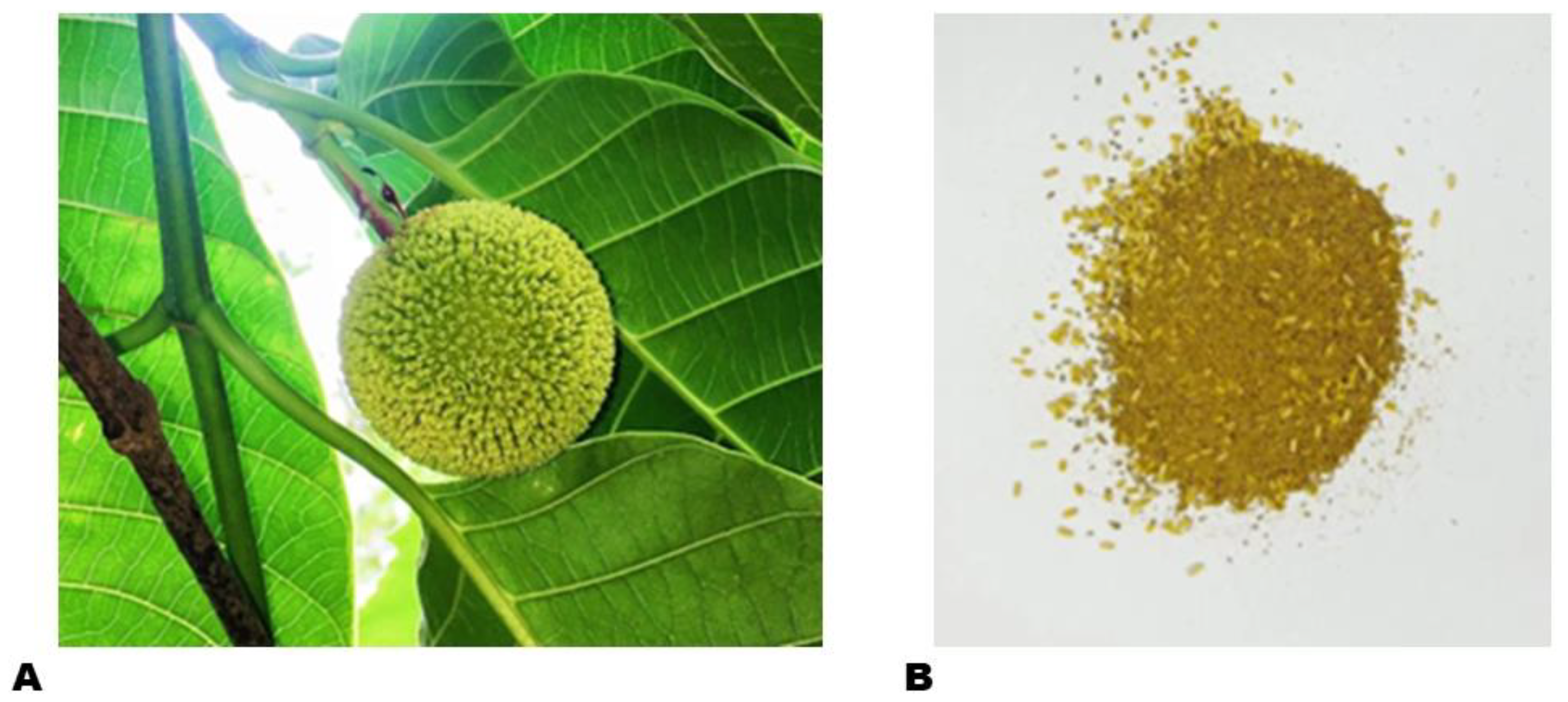 Metabolites 14 00511 g001