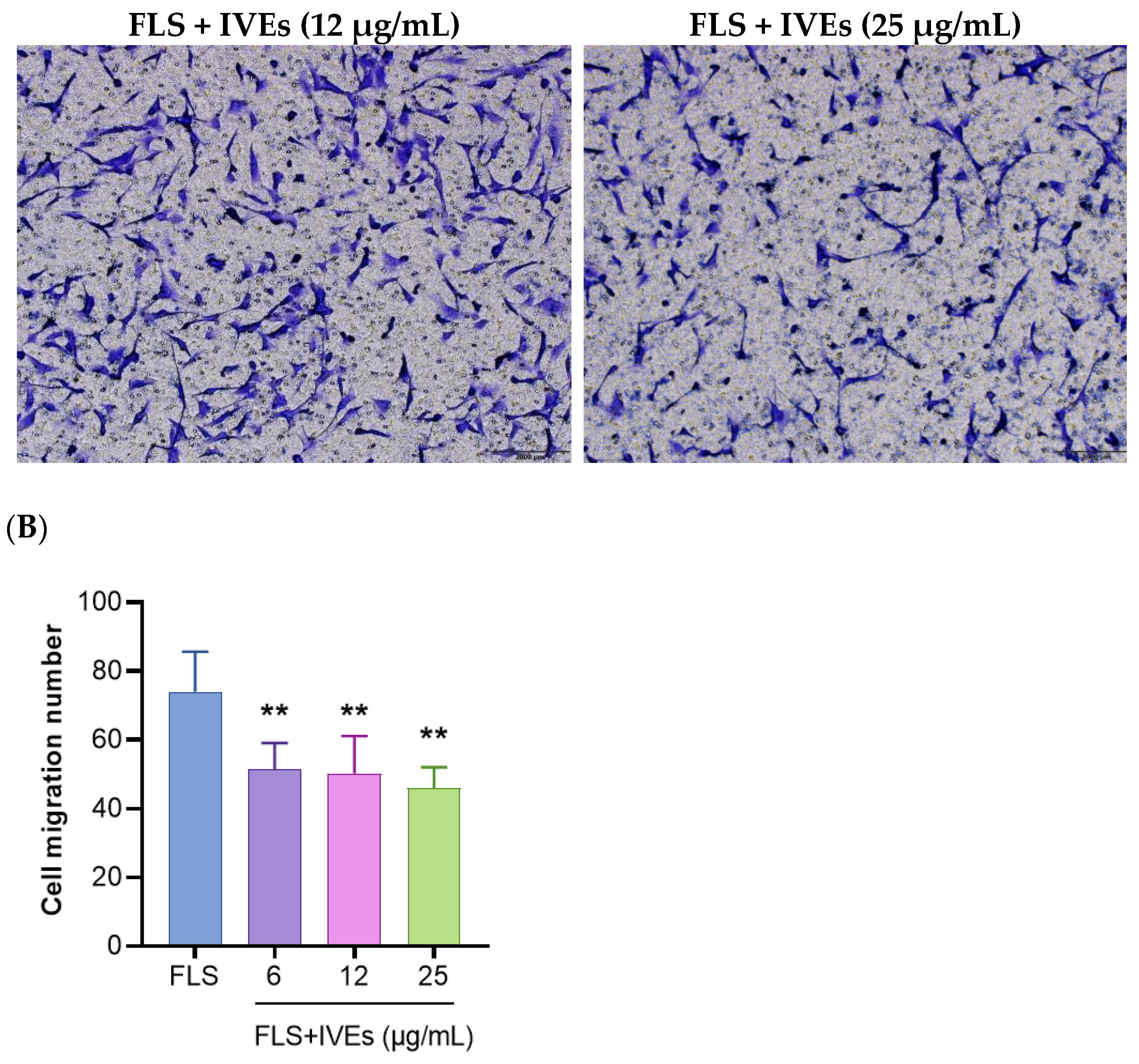 Metabolites 14 00517 g002b