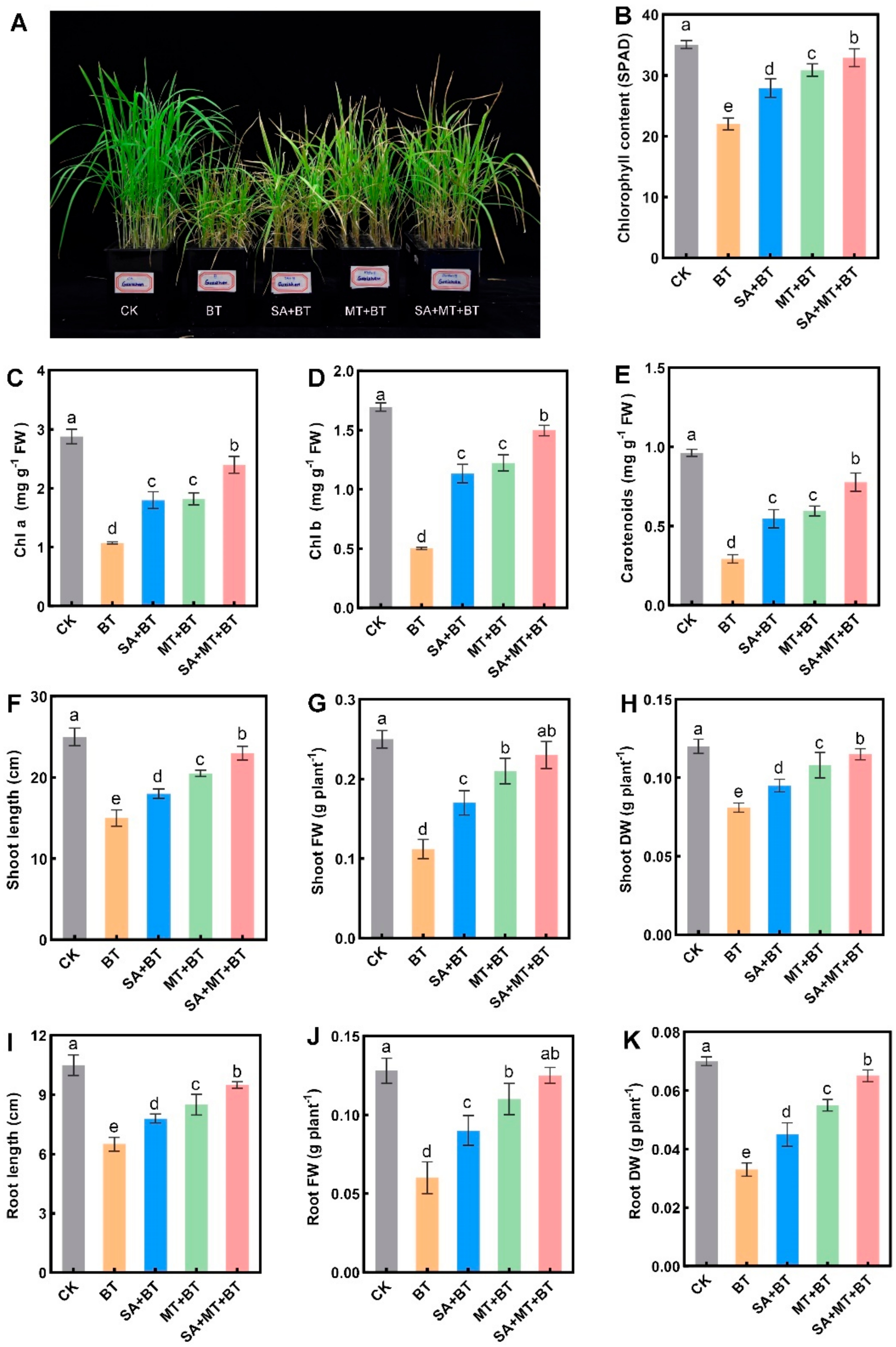 Metabolites 14 00520 g001