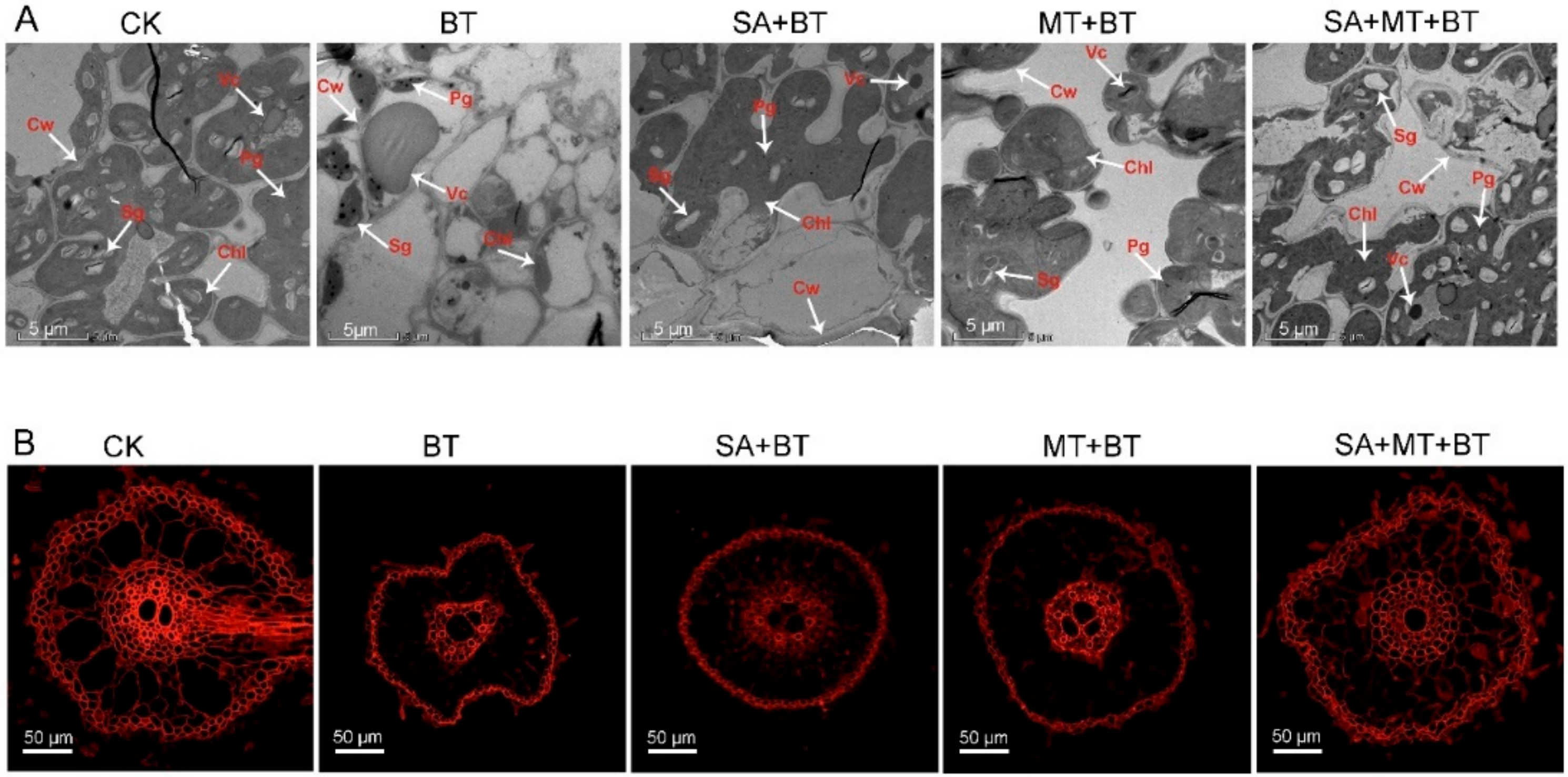 Metabolites 14 00520 g002
