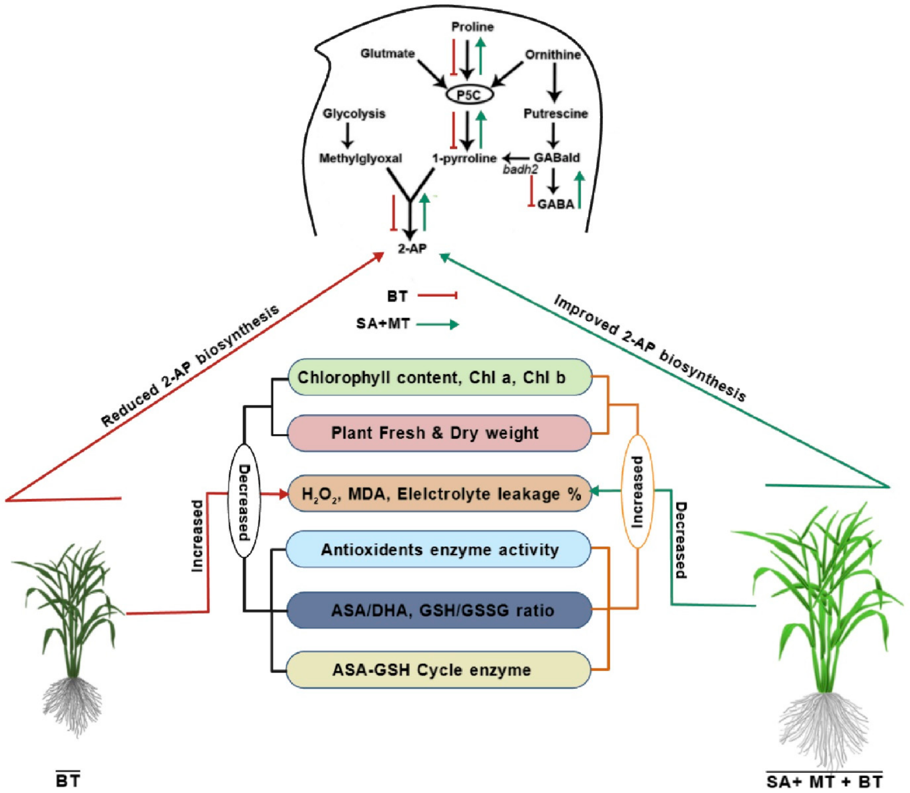 Metabolites 14 00520 g007