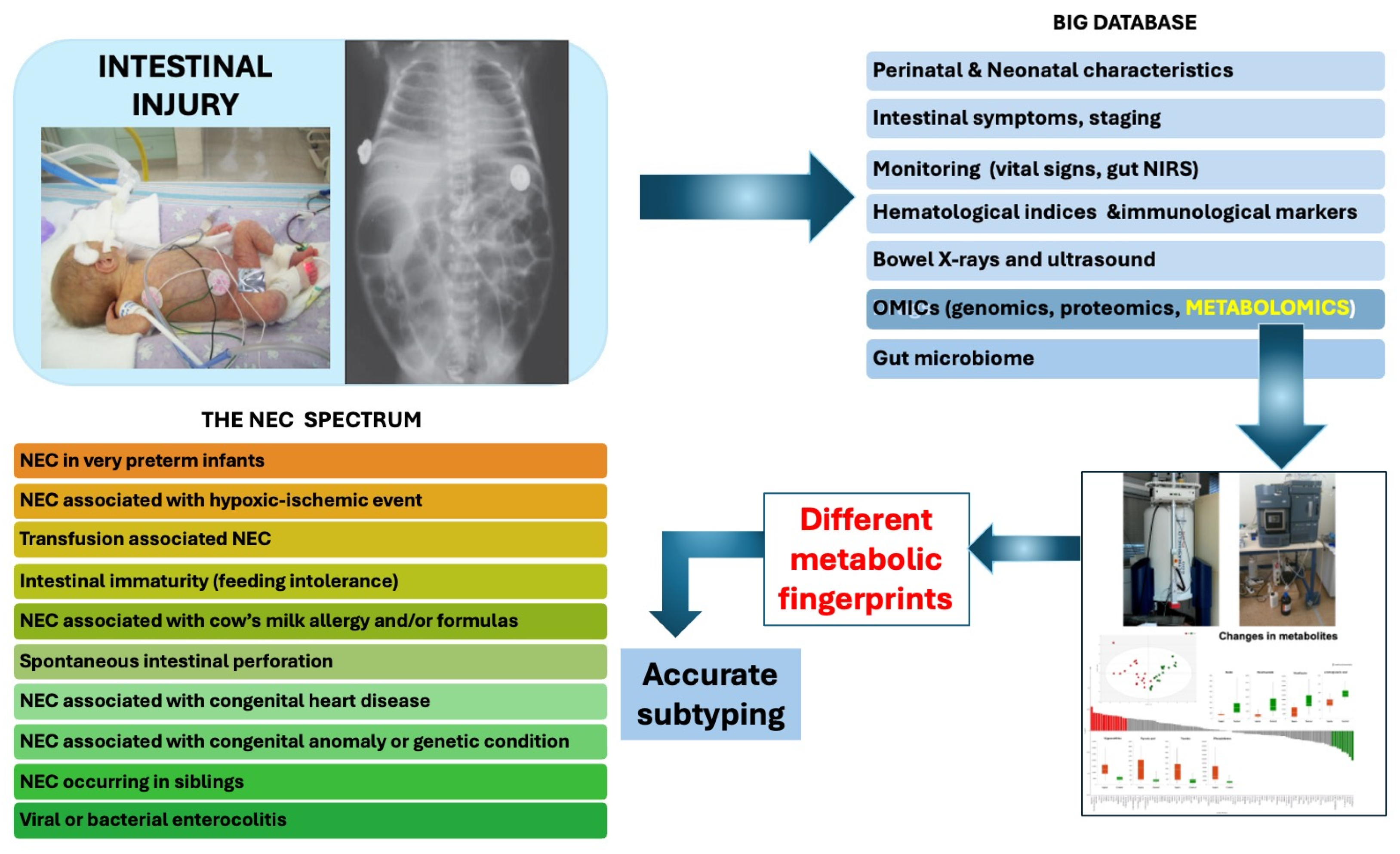 Metabolites 14 00521 g001