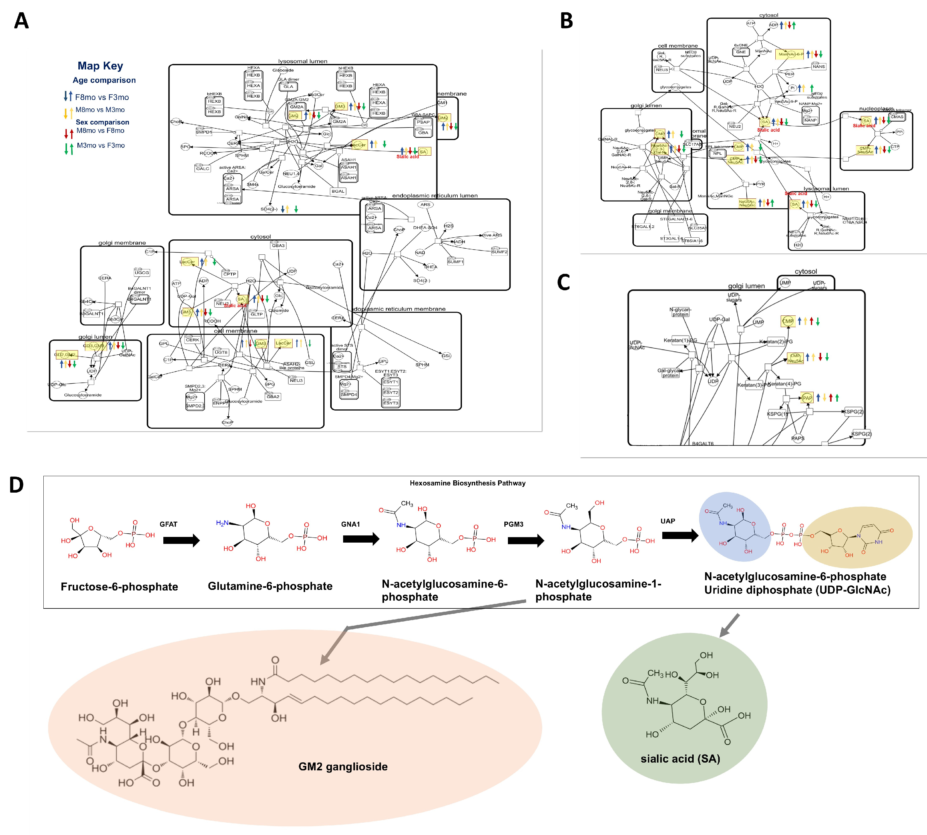Metabolites 14 00525 g004