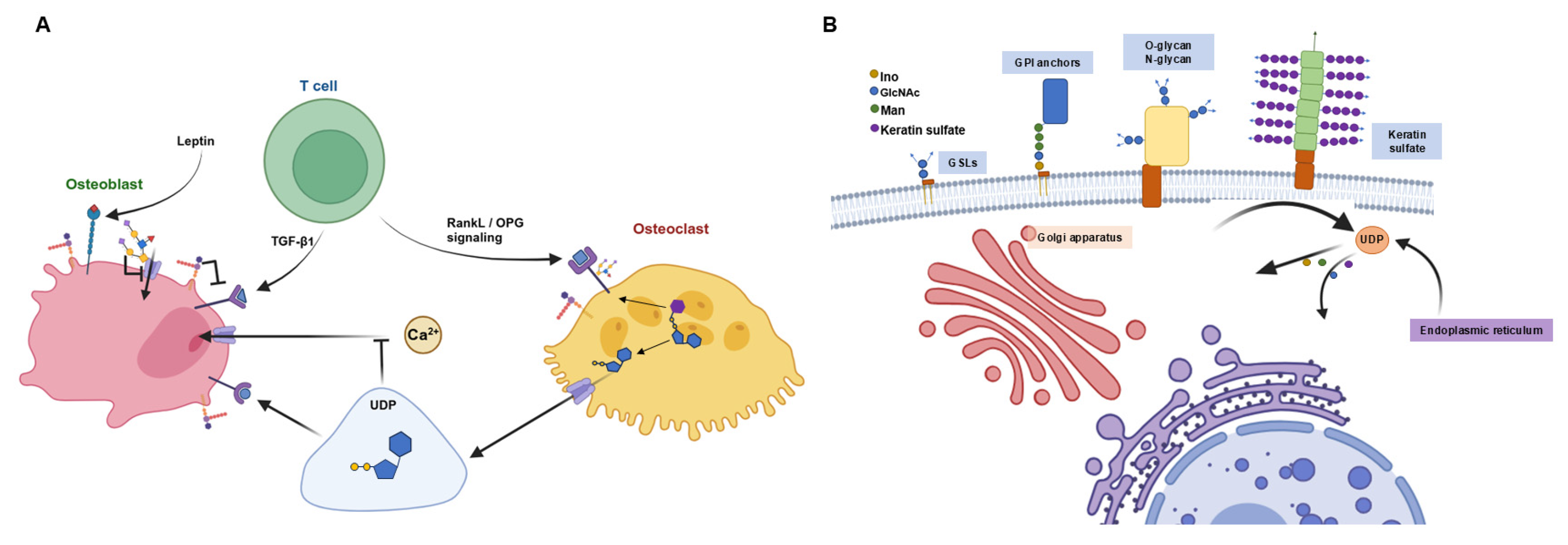 Metabolites 14 00525 g005