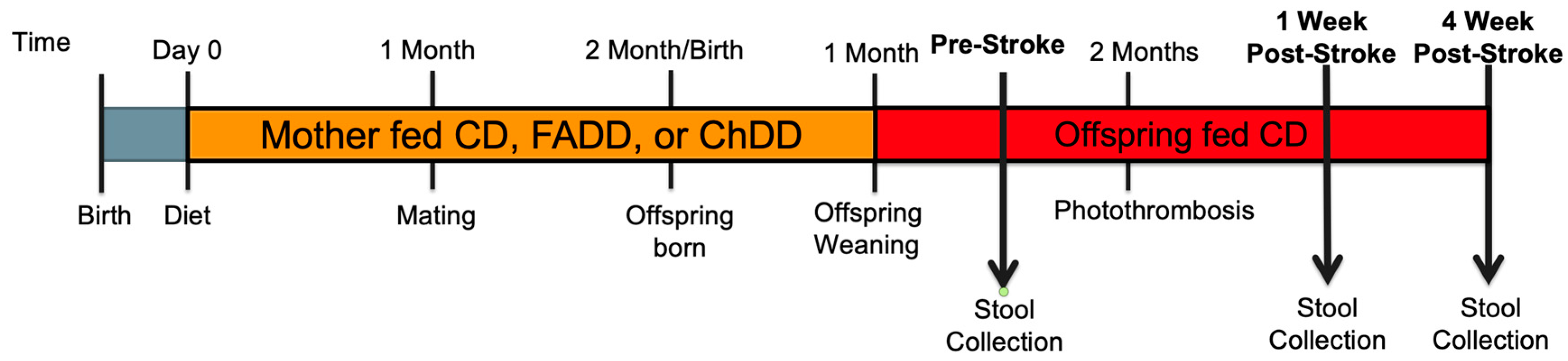 Metabolites 14 00552 g001 Metabolites 14 00552 g001