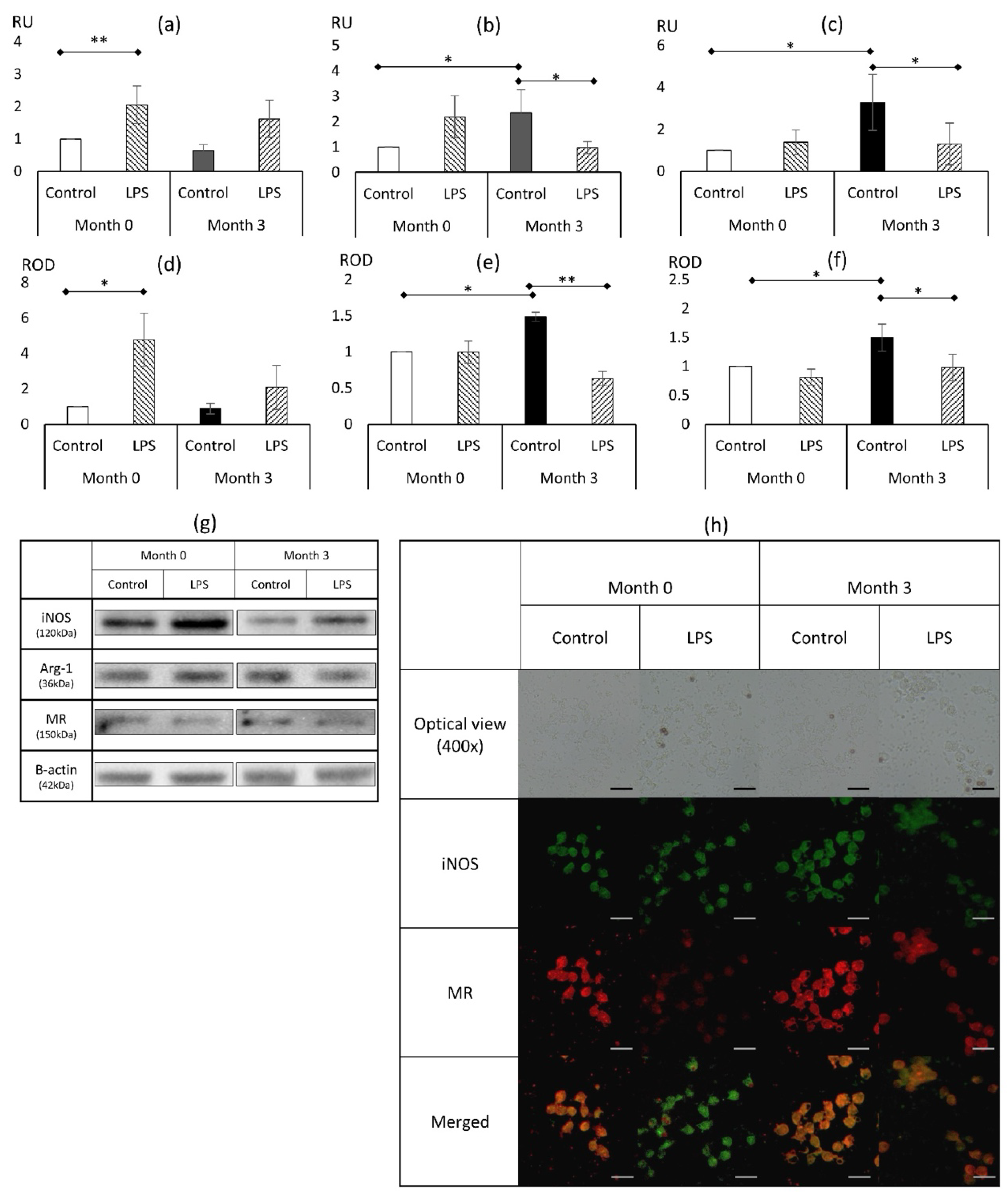 Metabolites 14 00554 g002