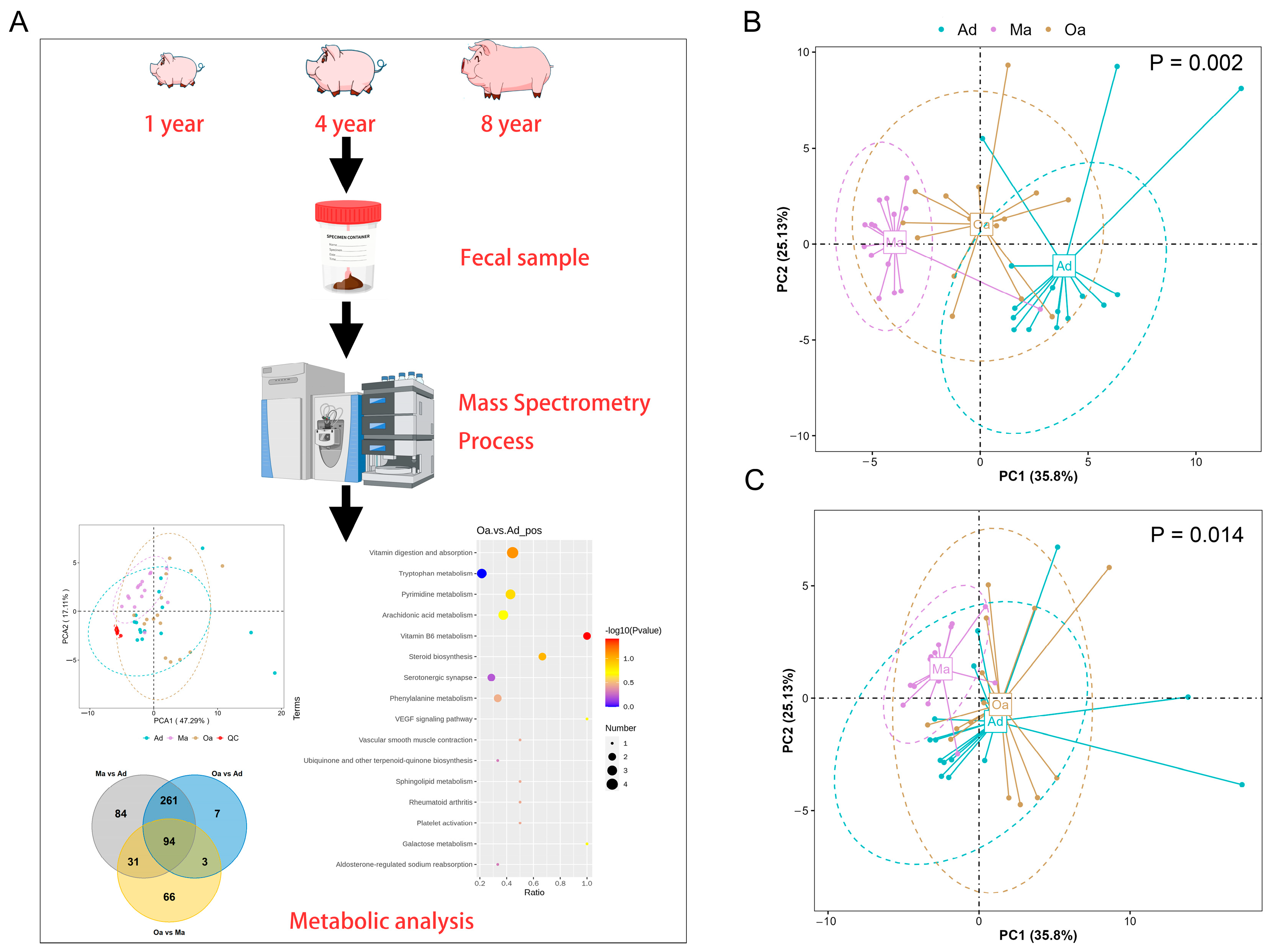 Metabolites 14 00558 g001