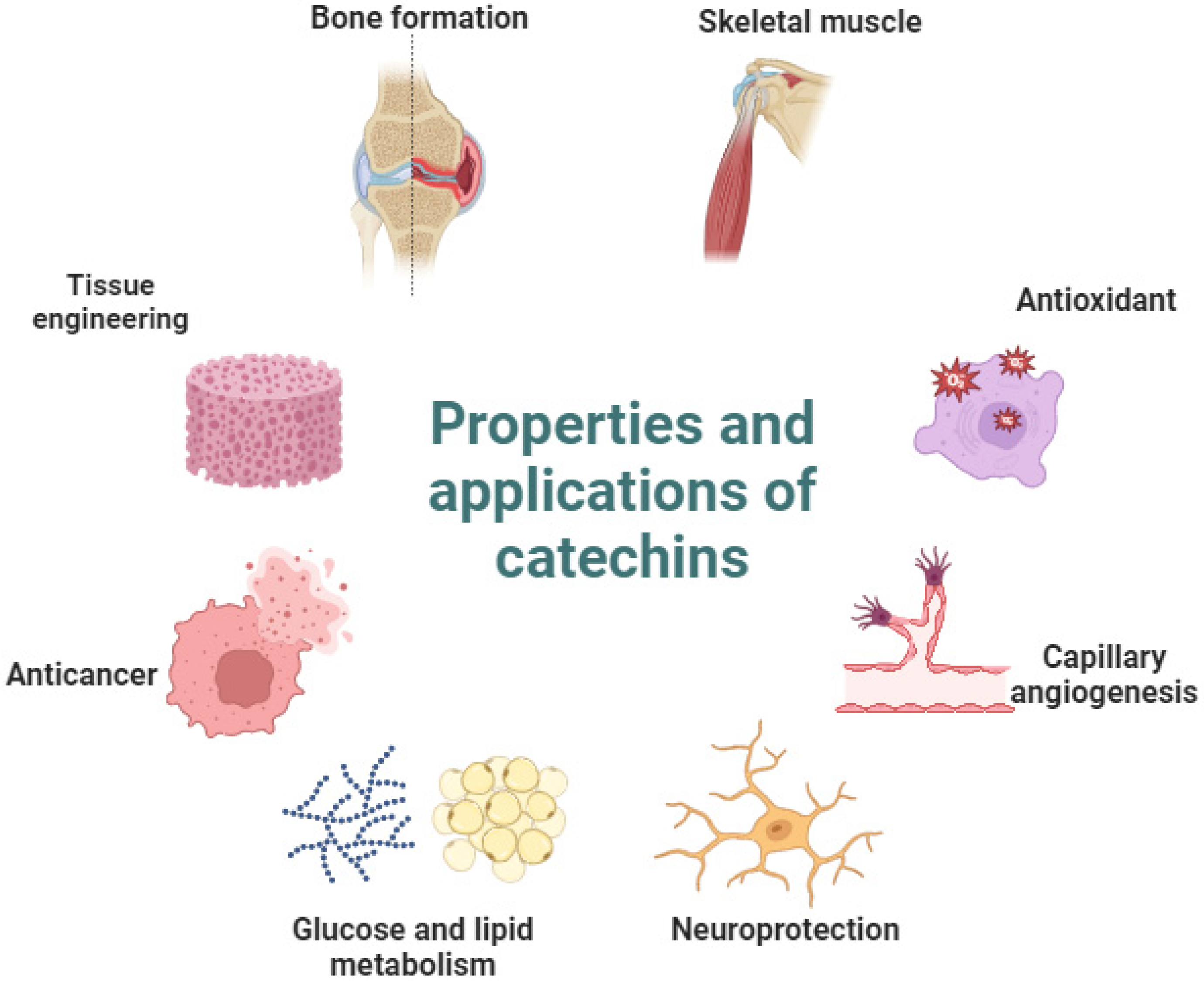 Metabolites 14 00560 g001
