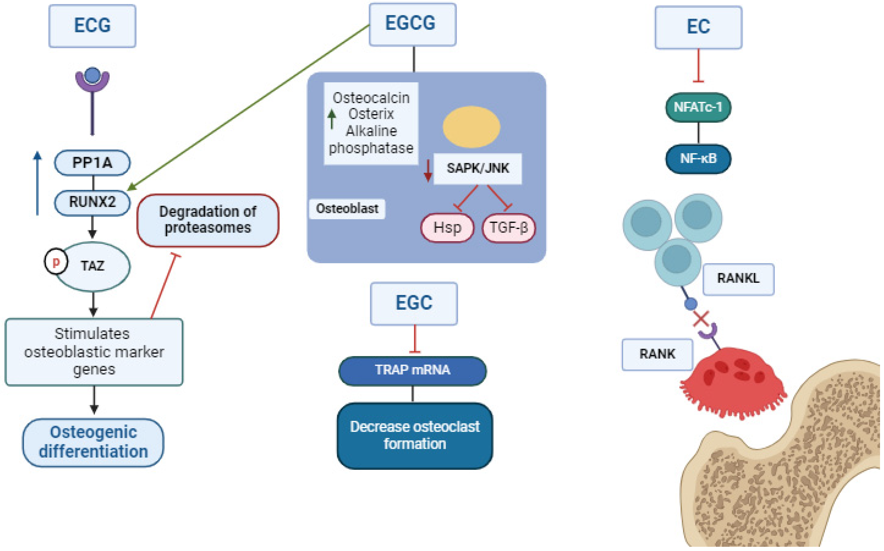 Metabolites 14 00560 g002