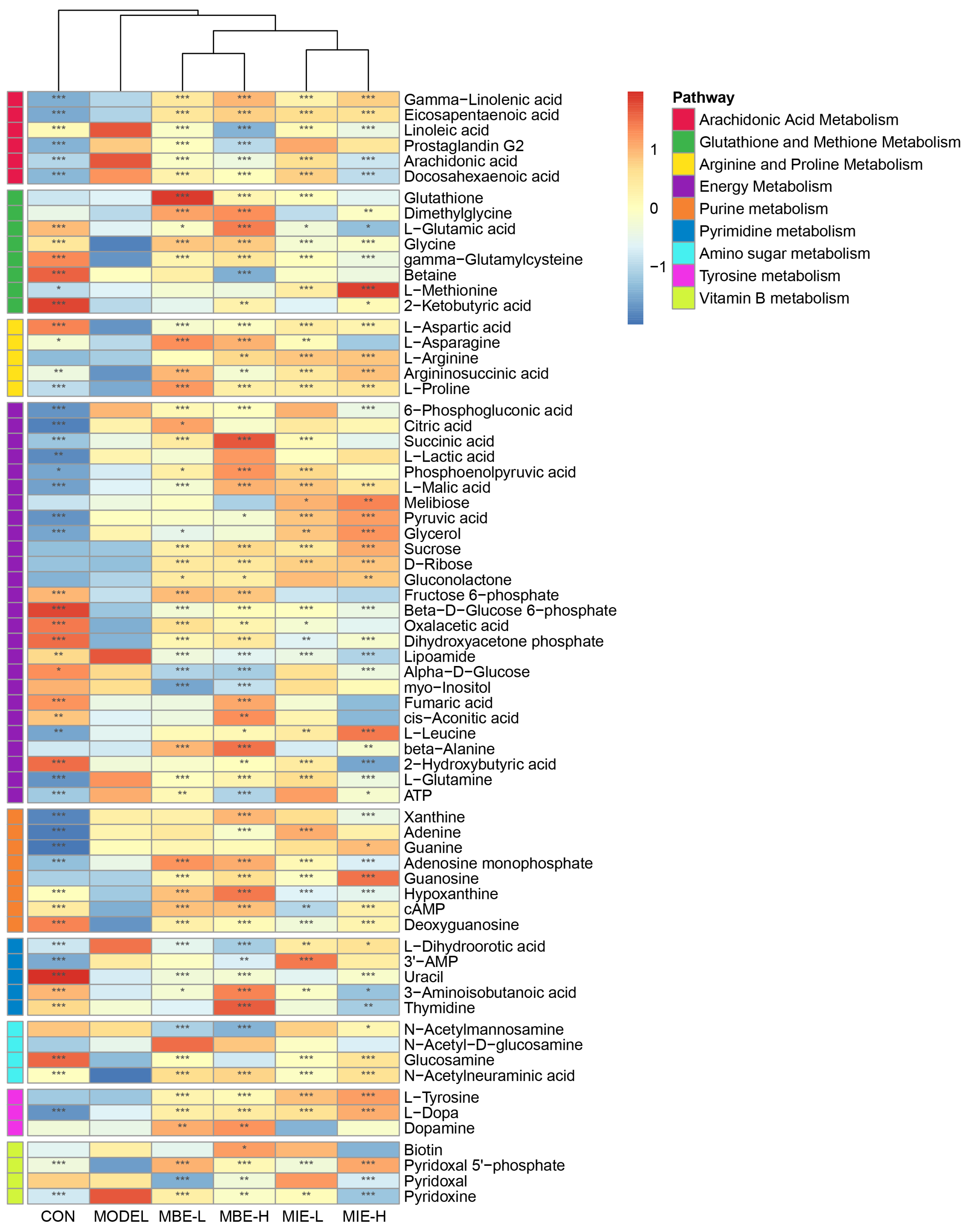 Metabolites 14 00563 g009