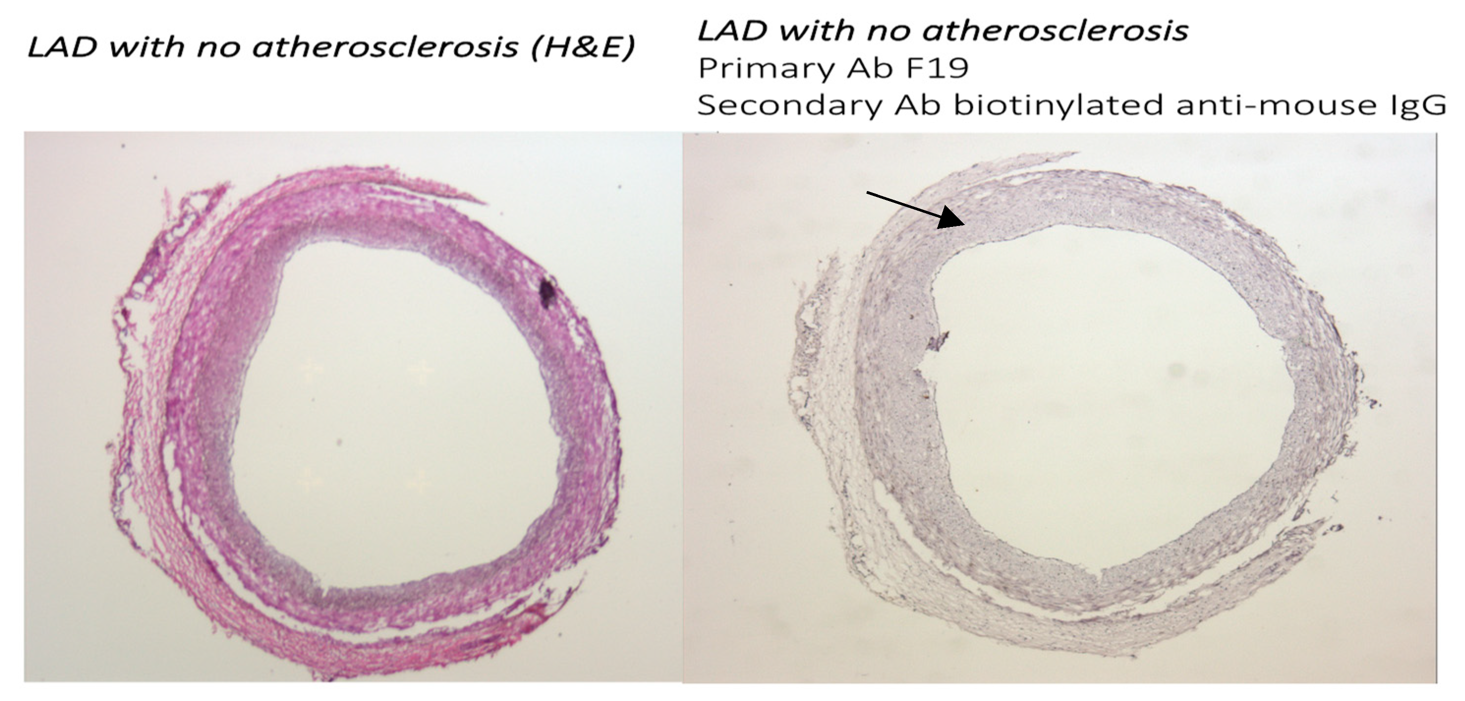 Metabolites 14 00573 g001