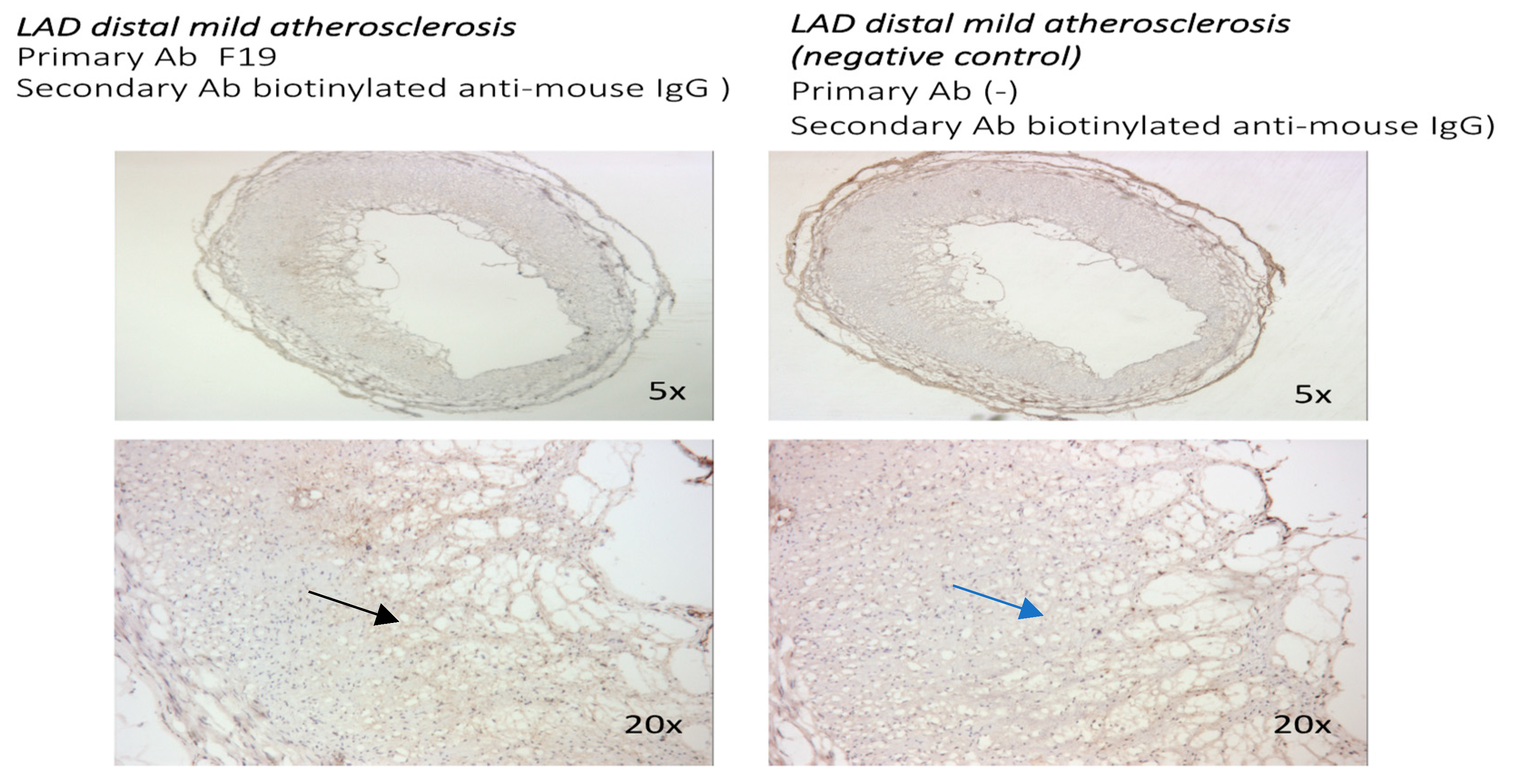 Metabolites 14 00573 g002