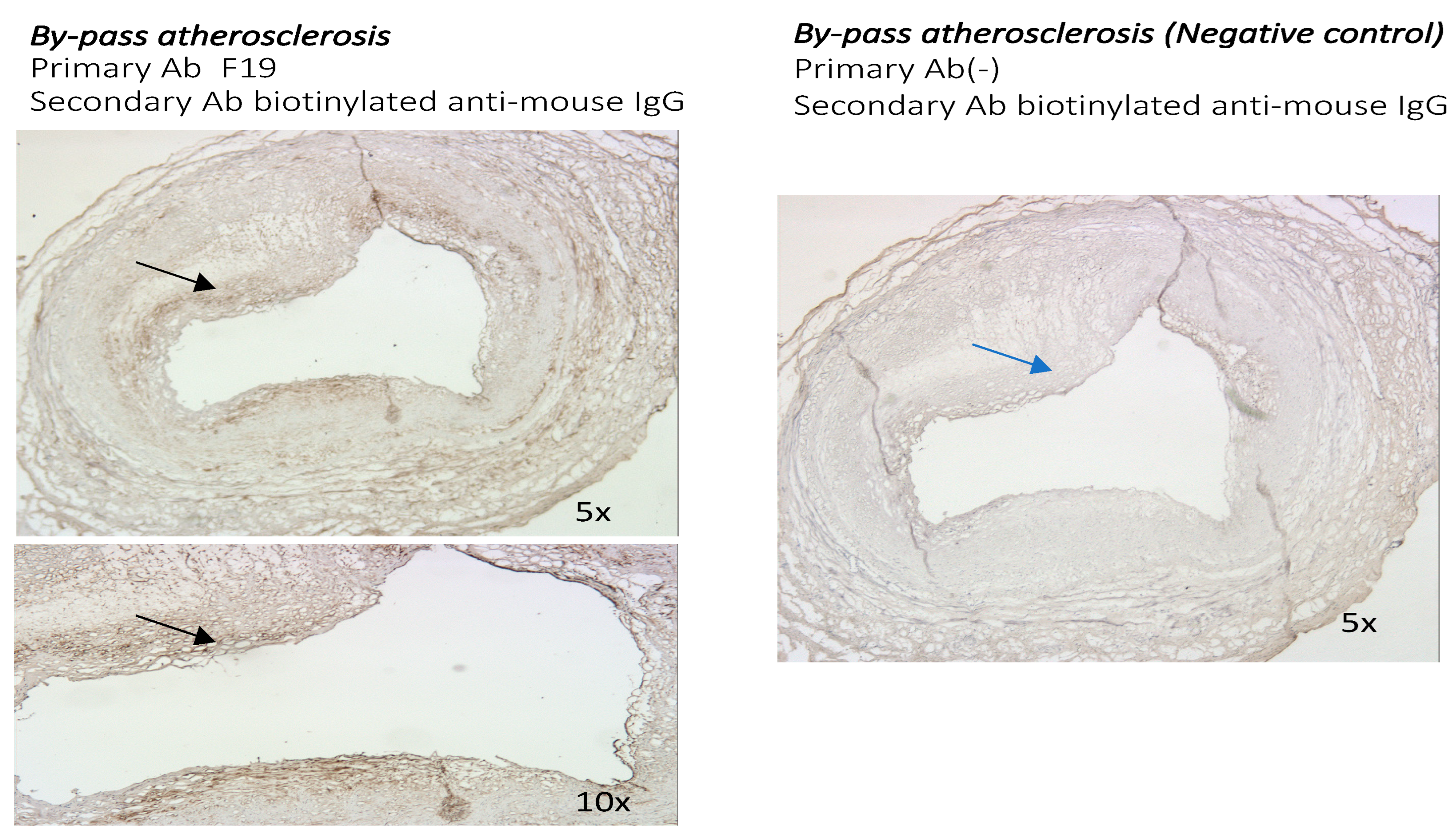 Metabolites 14 00573 g005