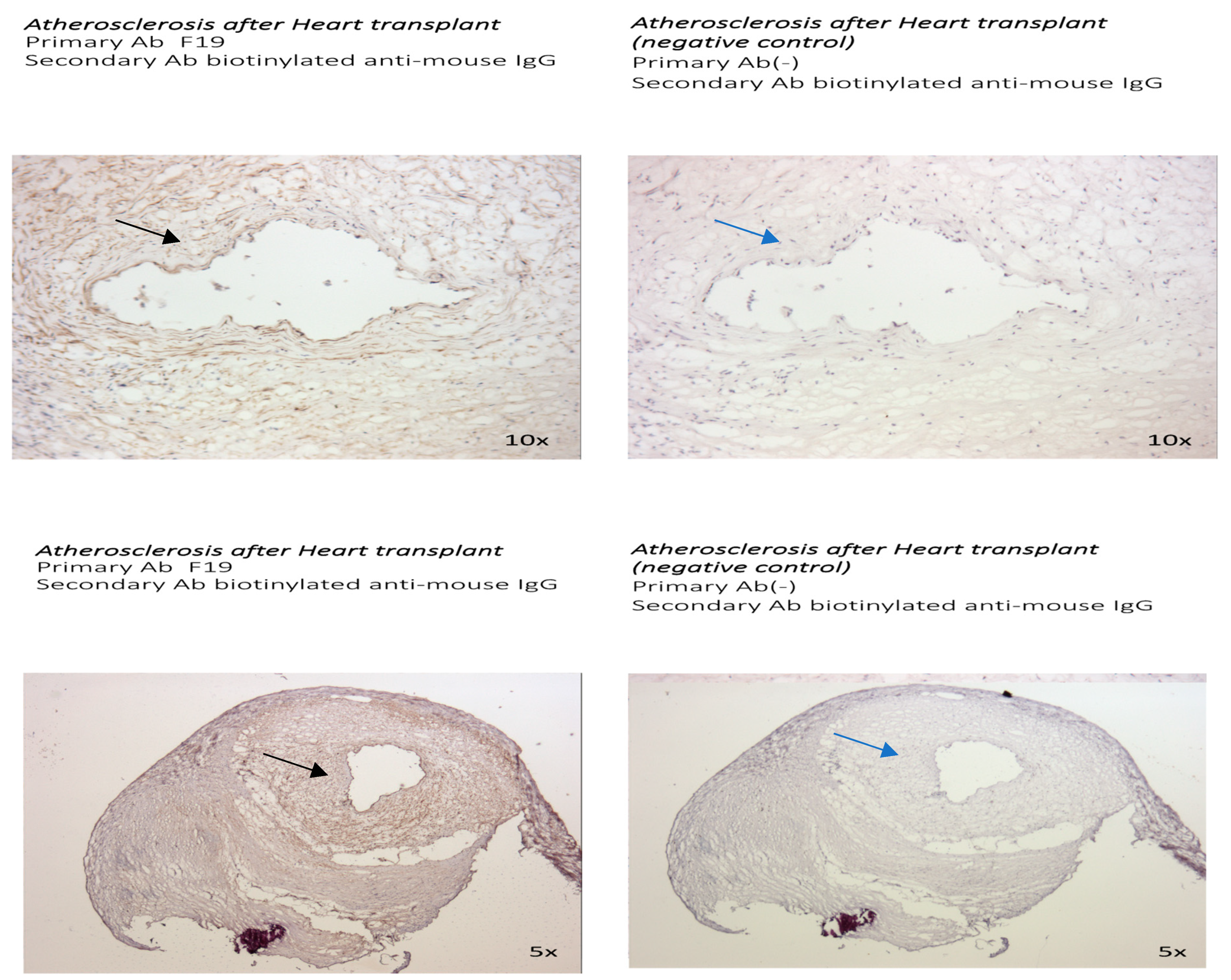 Metabolites 14 00573 g006