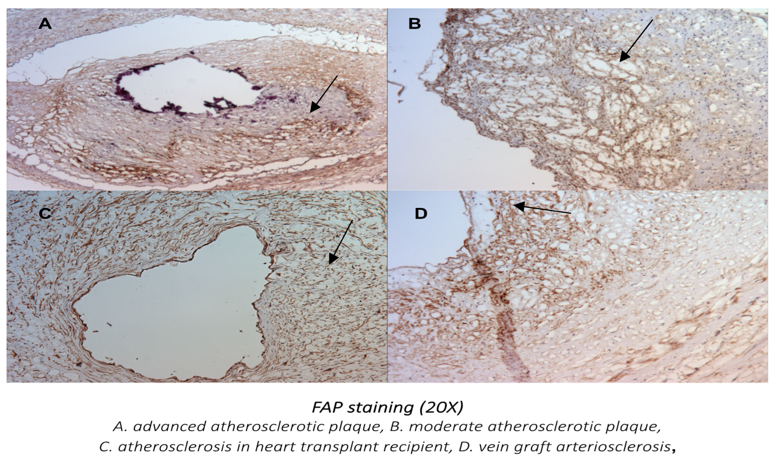 Metabolites 14 00573 g007