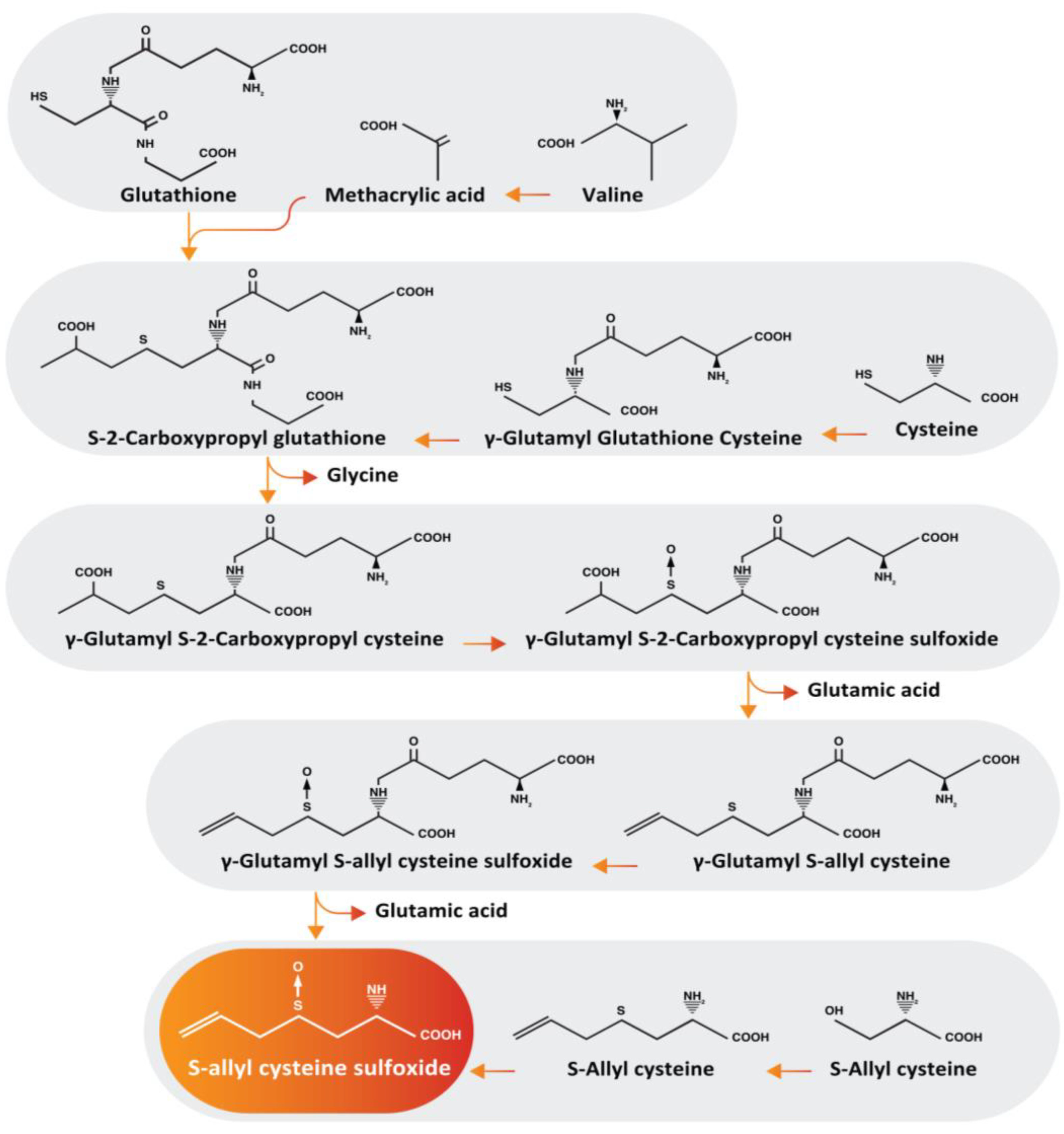 Metabolites 14 00580 g001