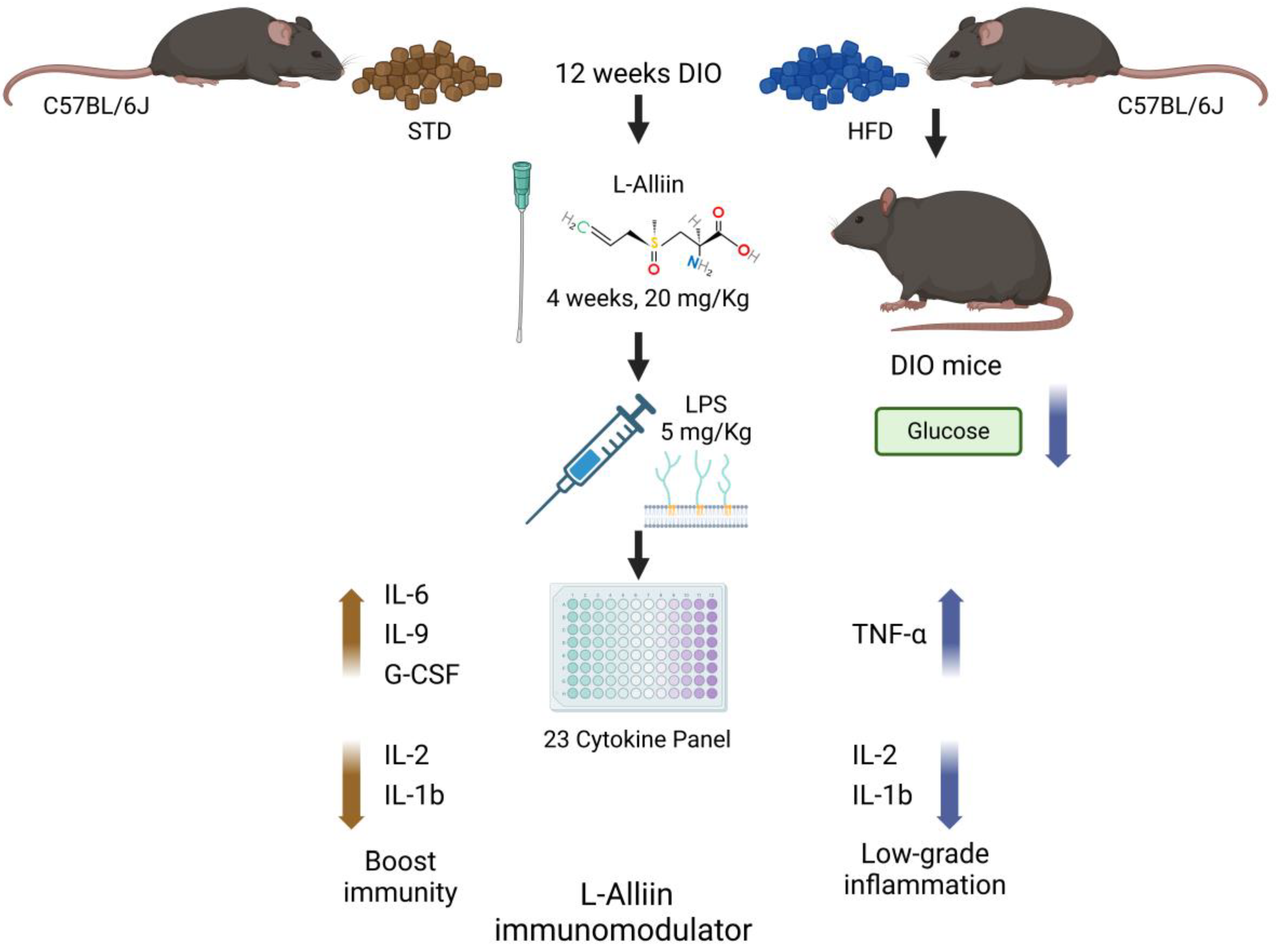 Metabolites 14 00580 g007