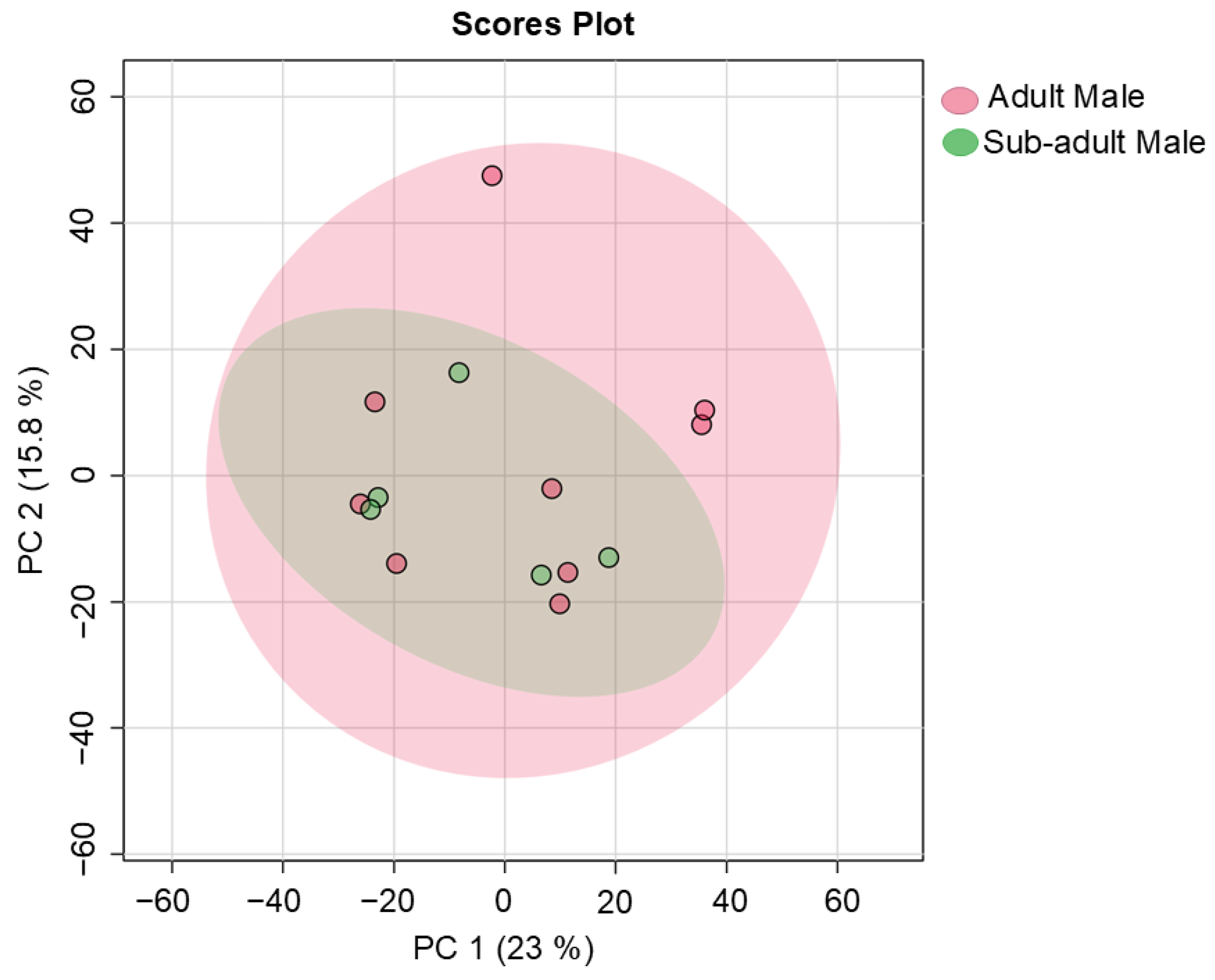 Metabolites 14 00586 g009